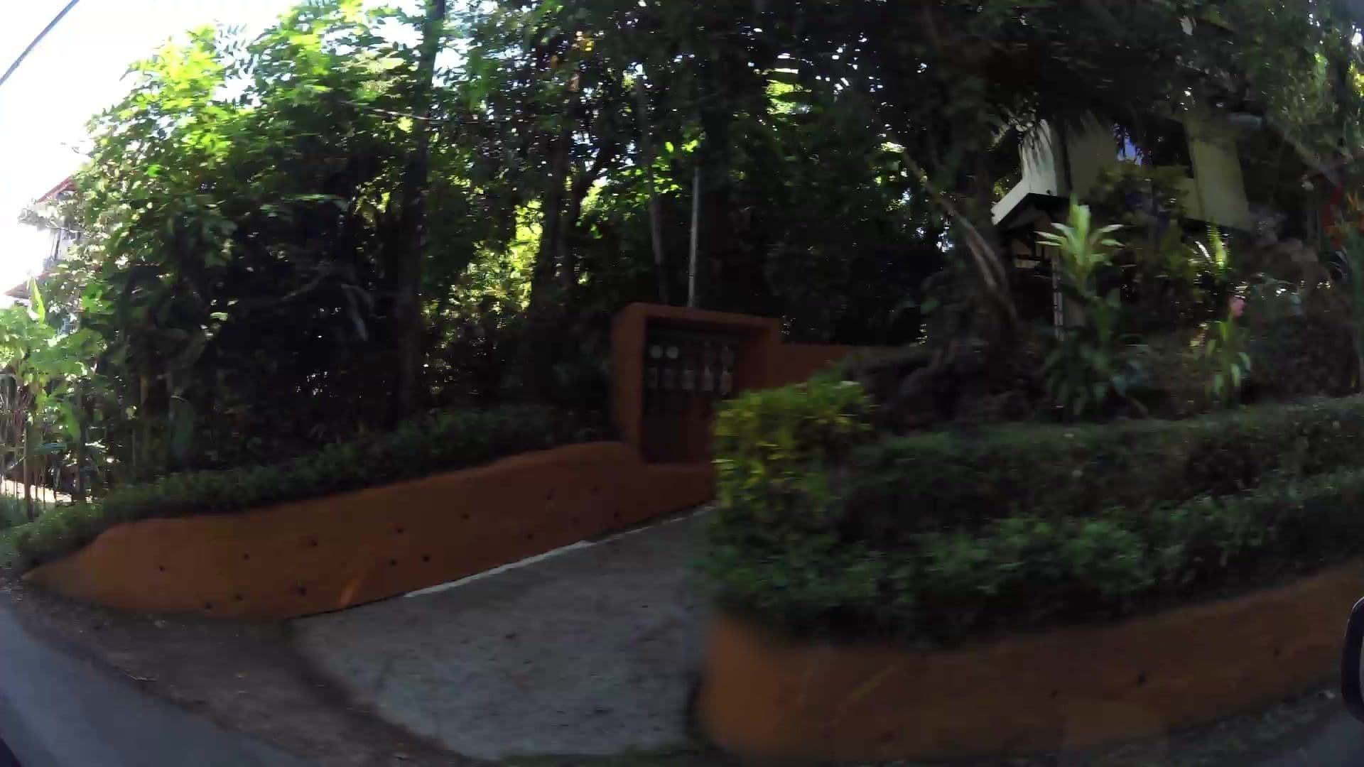 Street view near La Mariposa, Quepos