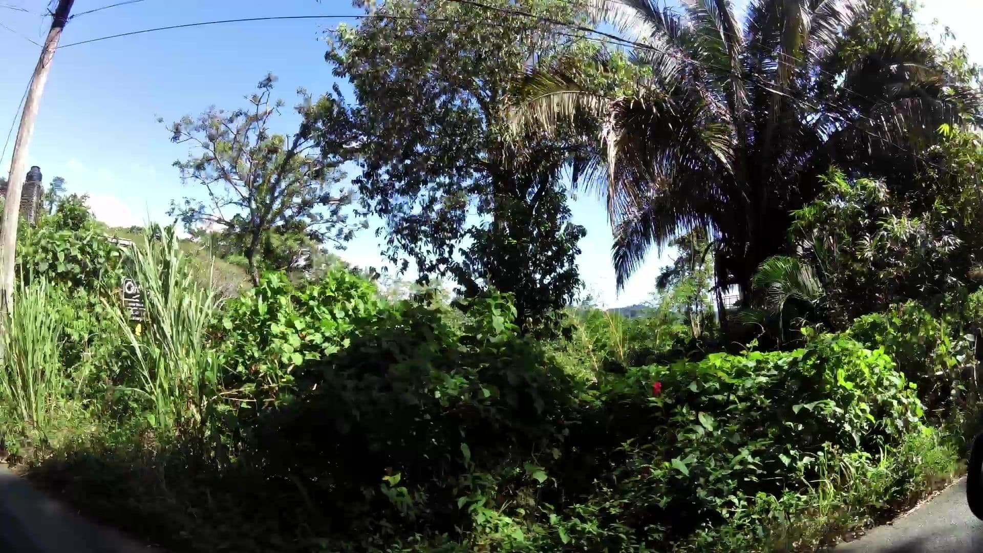 Street view near Casa Buena Vista, Quepos
