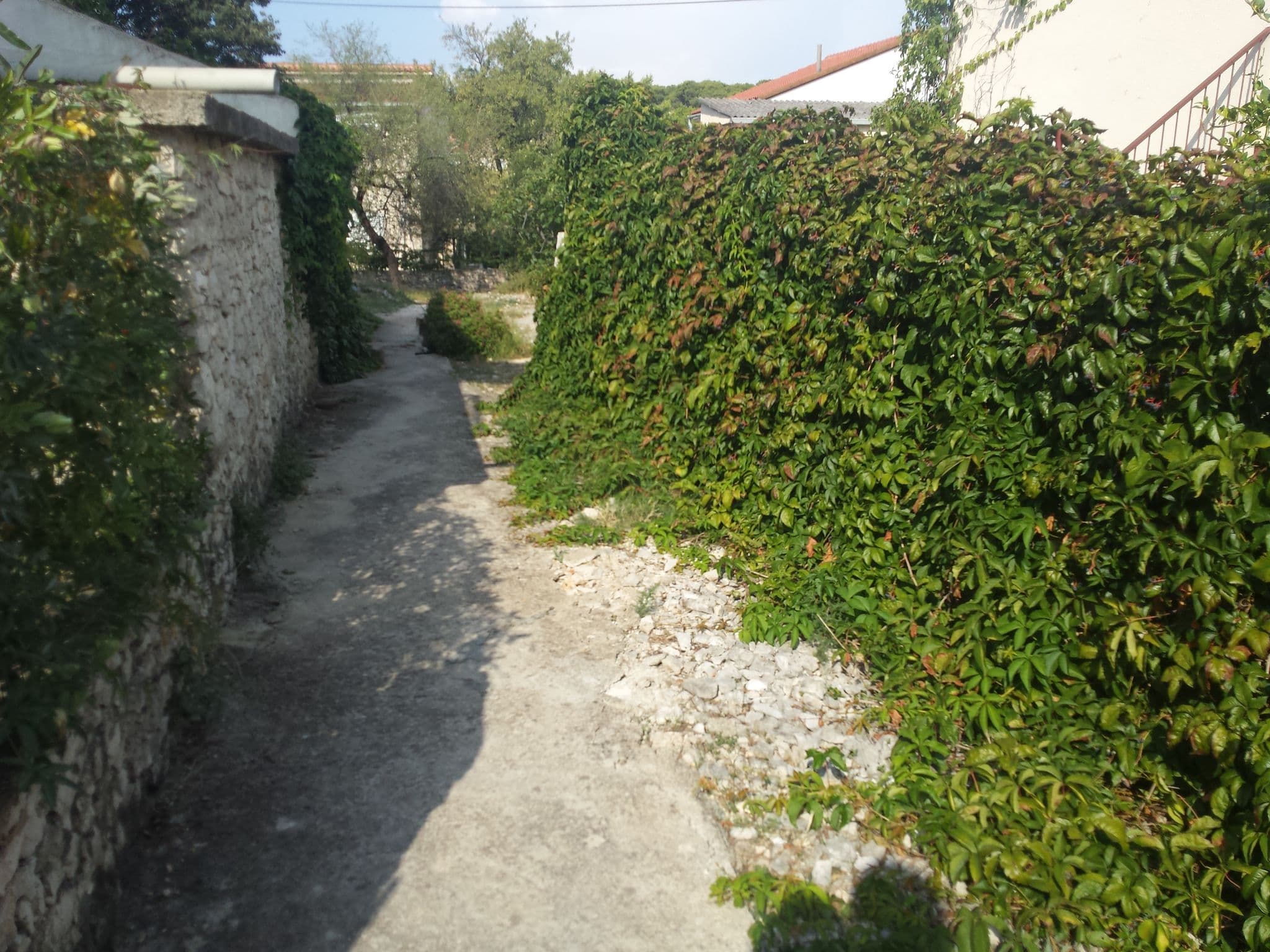 Street view near Apartman Marica, Primošten — © janjko (CC BY-SA · Mapillary)