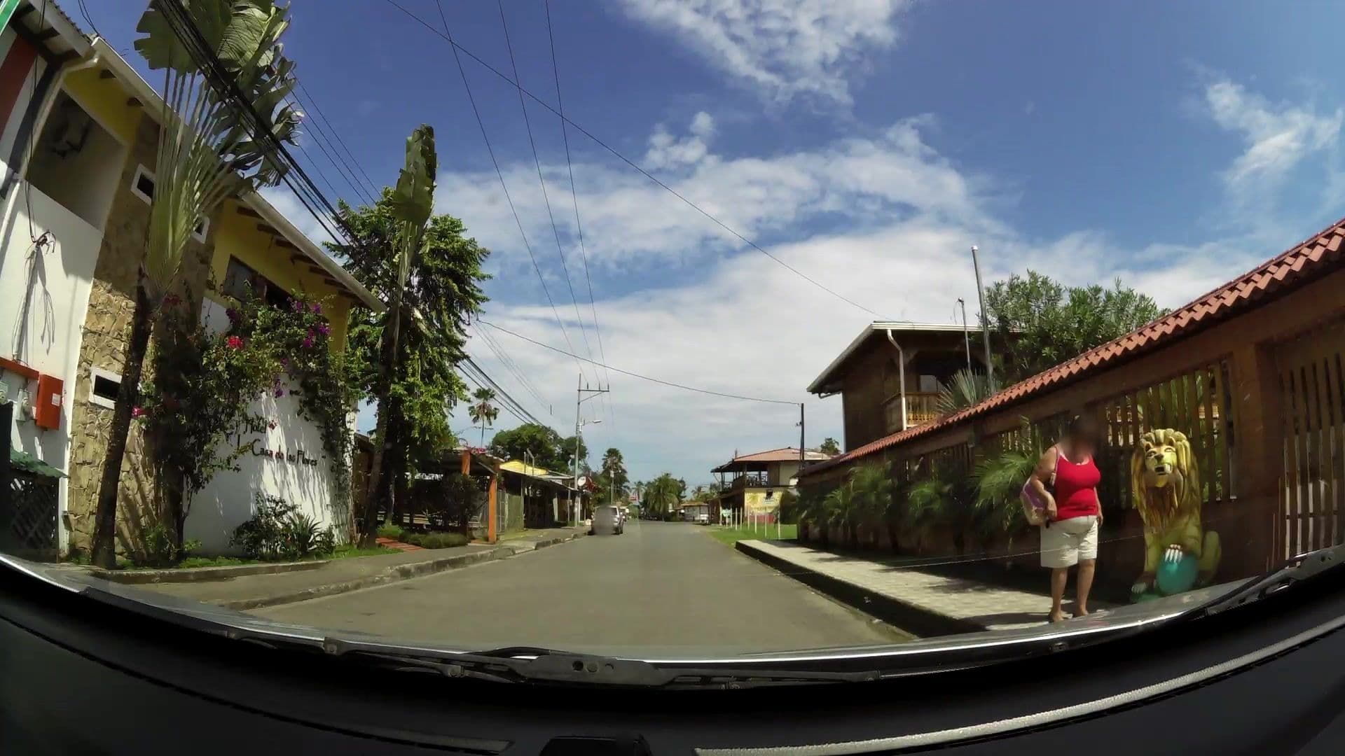 Street view near La Casa de las Flores, Limón — © kaartcam (CC BY-SA · Mapillary)