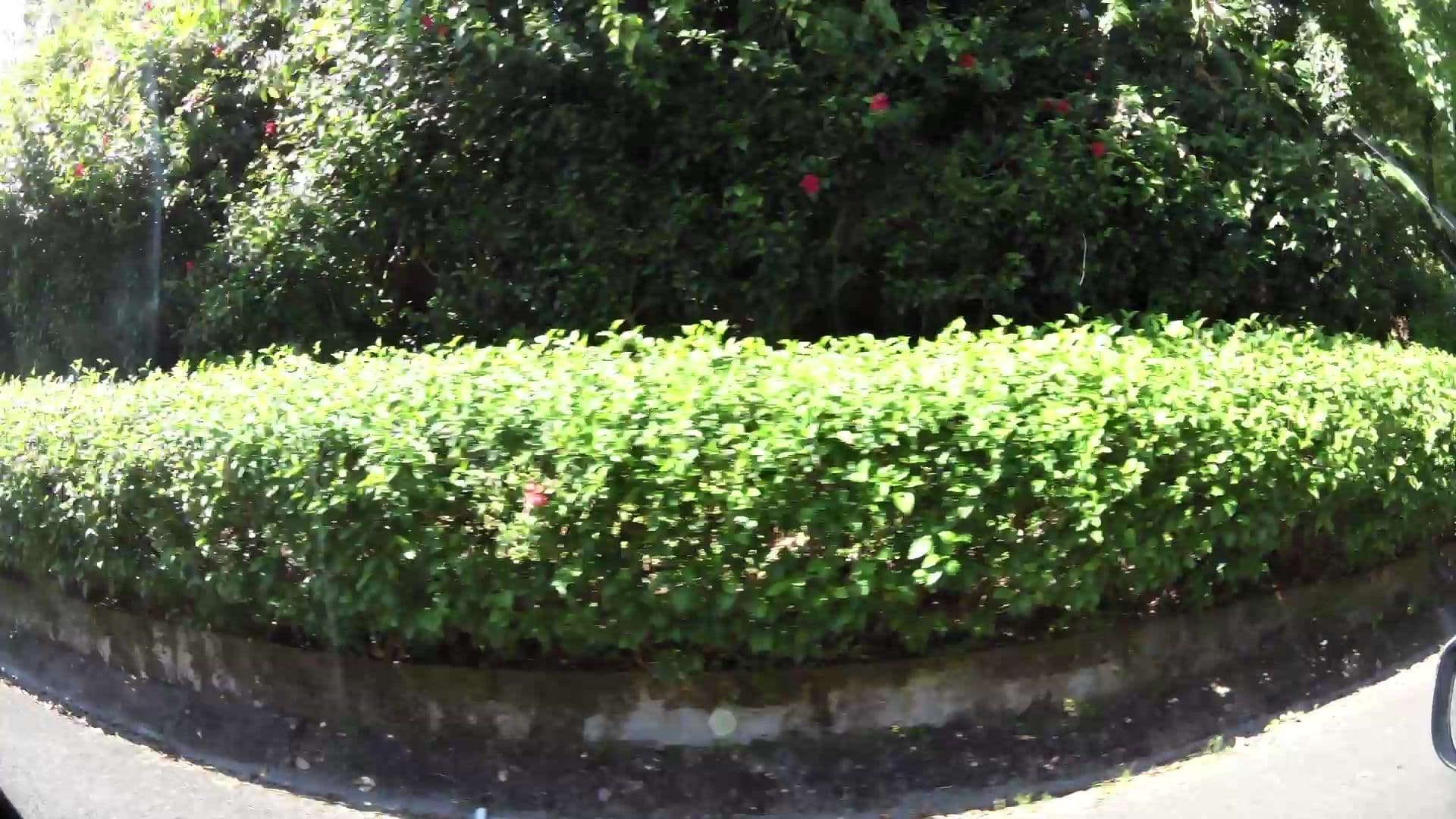 Street view near La Mansion Inn, Quepos