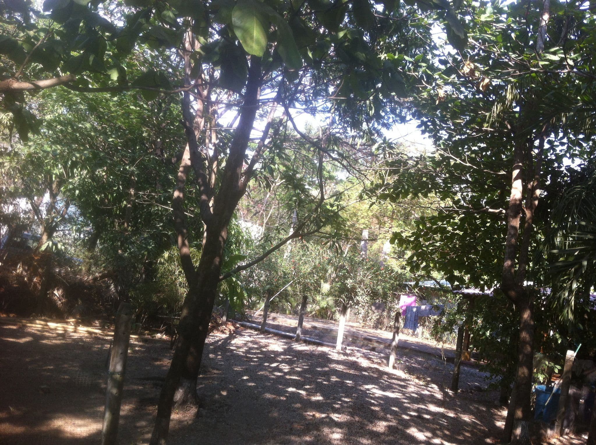 Street view near The Beach Break Yaxa Nosara, Sámara