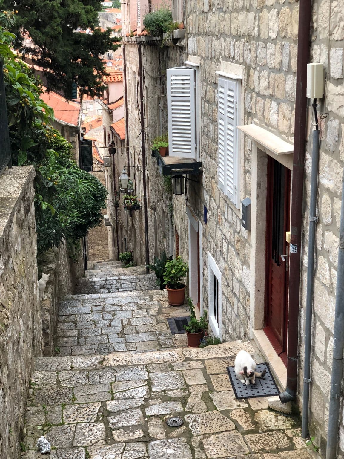 Street view near Poolincluded - Villa Yespeace, Dubrovnik — © adirricor (CC BY-SA · Mapillary)