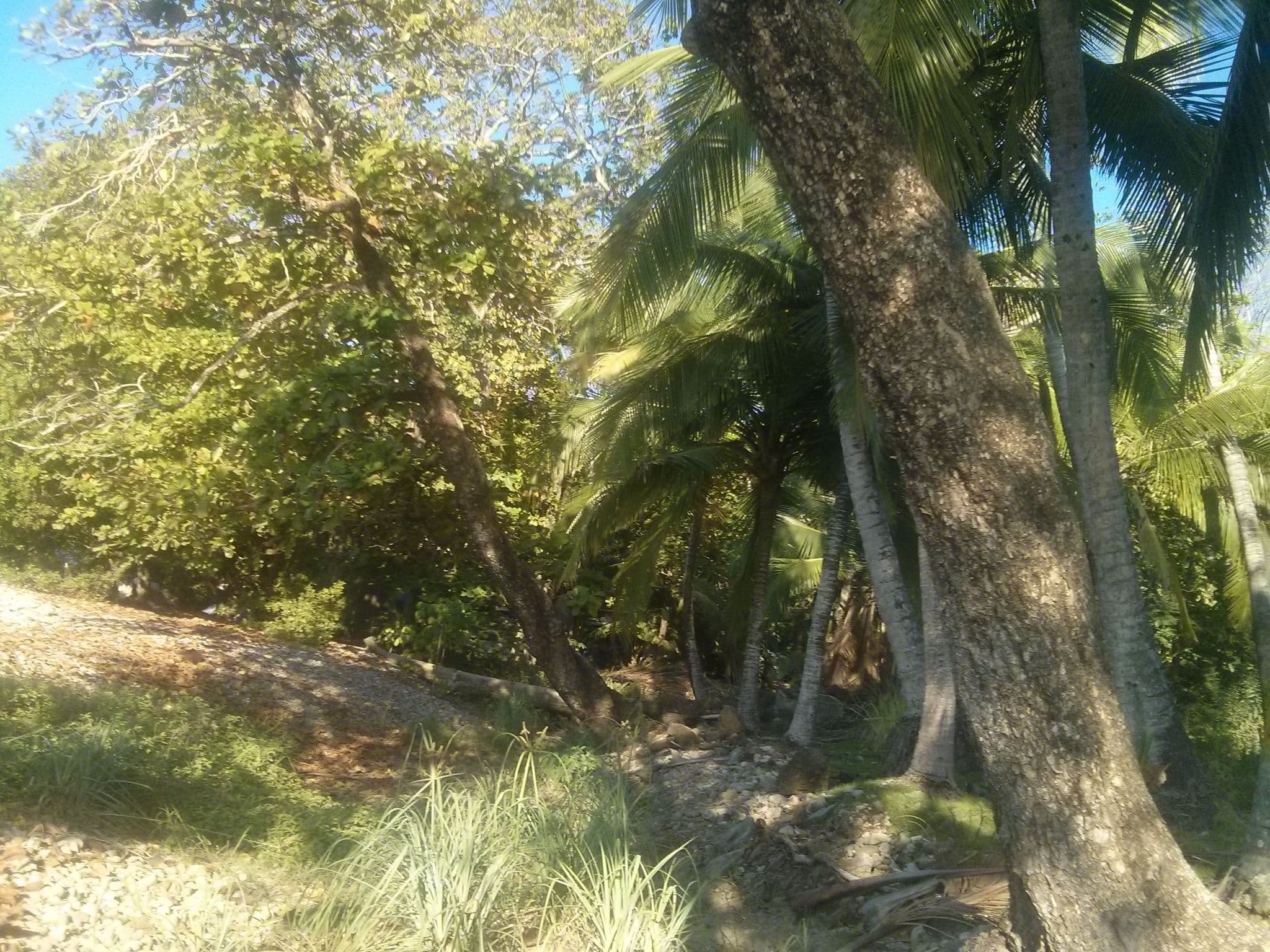 Street view near Elimar Mal Pais Camping, Paquera