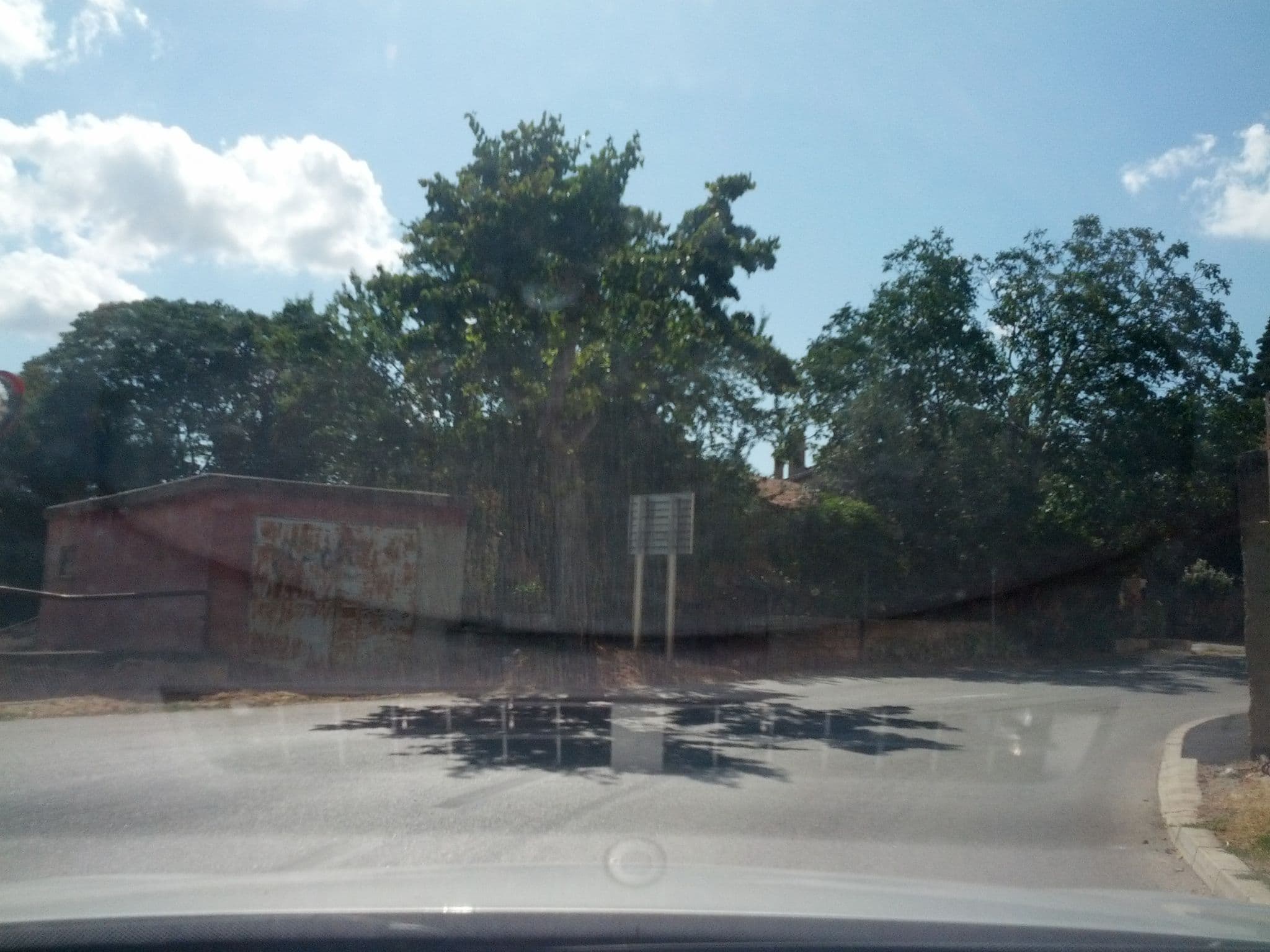 Street view near Apartment Emilia 330, Vodnjan — © lesko987 (CC BY-SA · Mapillary)