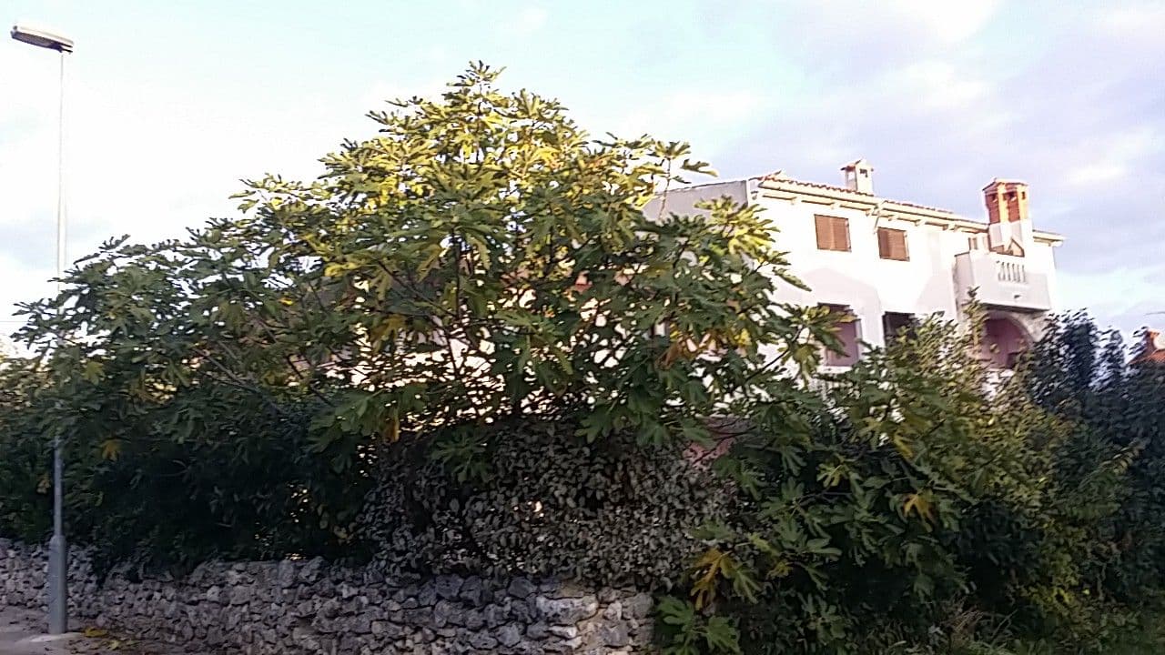 Street view near Apartments Divina, Rovinj — © utvonalfelmeresek (CC BY-SA · Mapillary)