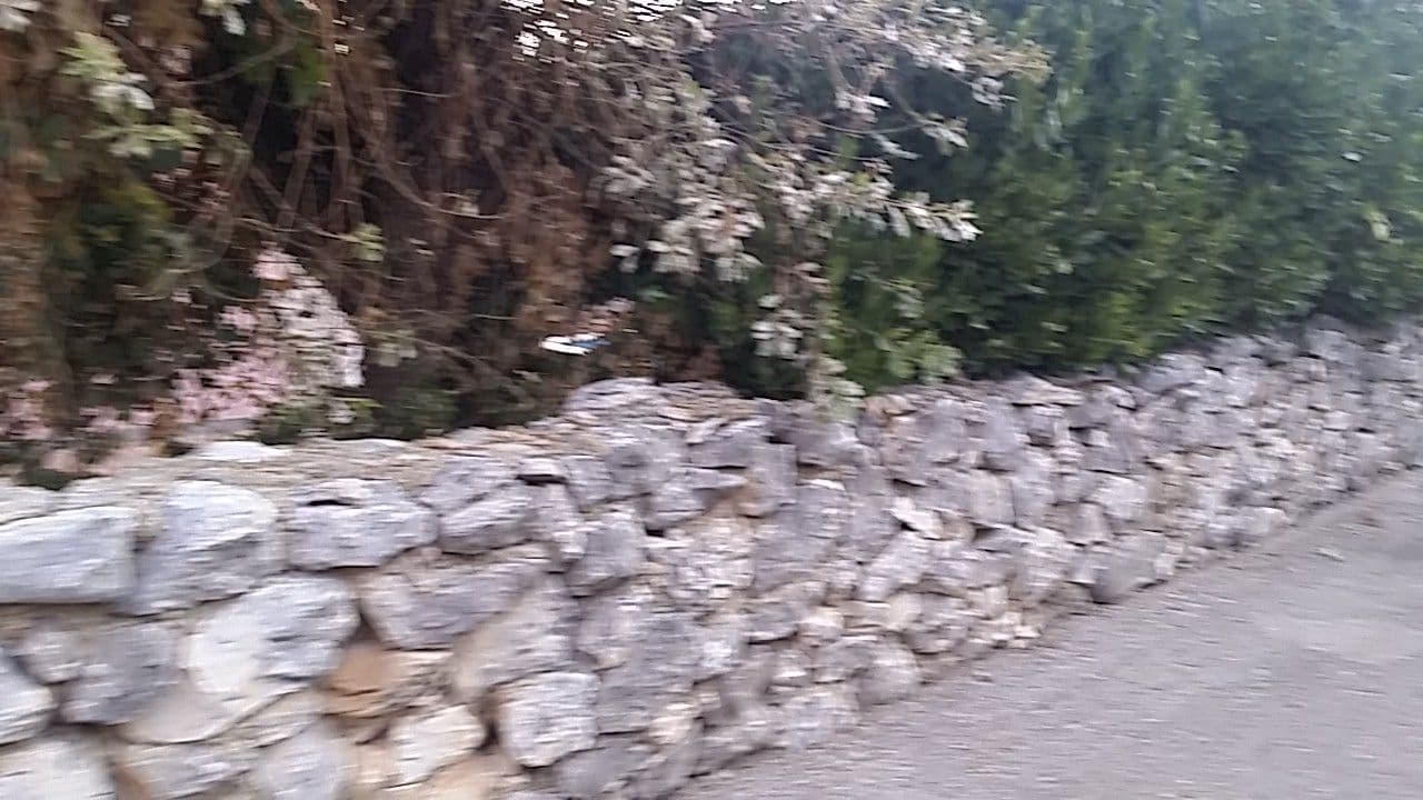 Street view near Casa Tosić, Rovinj — © utvonalfelmeresek (CC BY-SA · Mapillary)