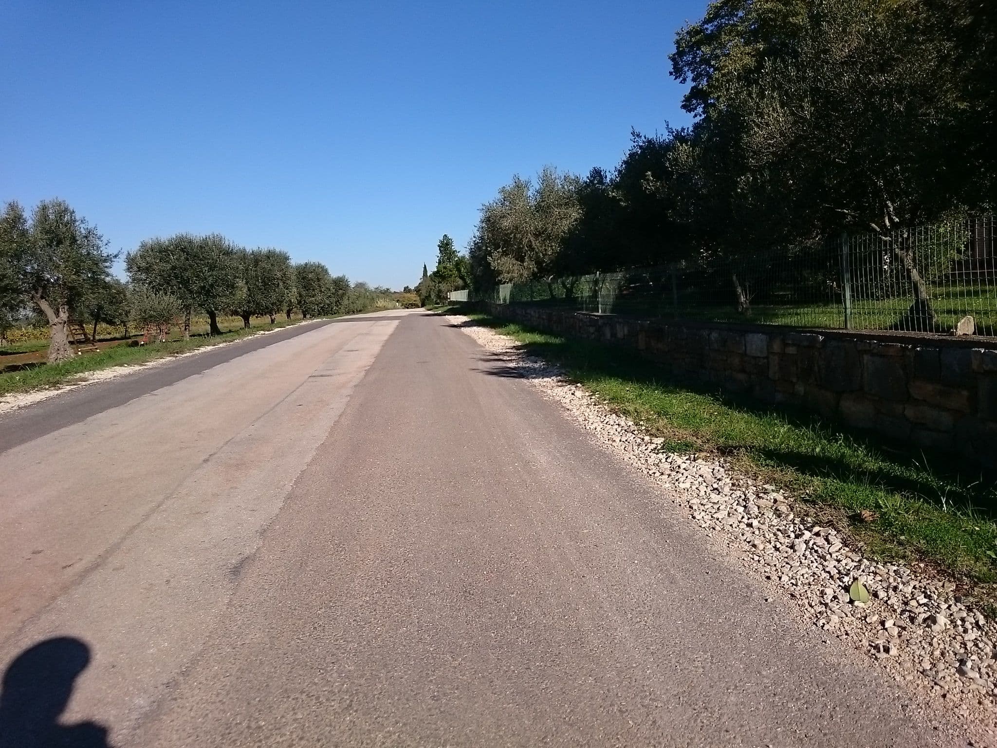 Street view near Villa Badi, Umag — © voschix (CC BY-SA · Mapillary)