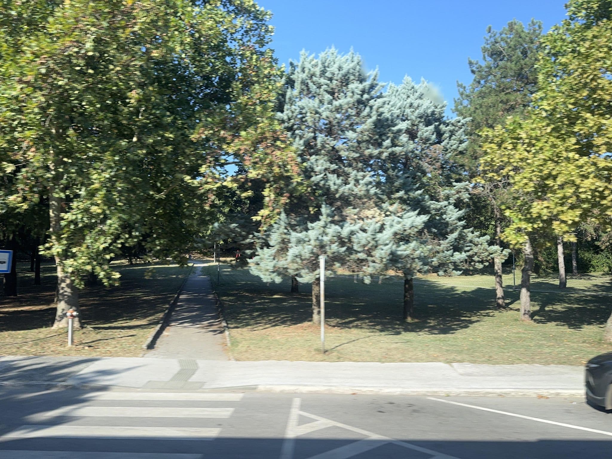 Street view near Haus Gaia, Labin — © mapconcierge (CC BY-SA · Mapillary)