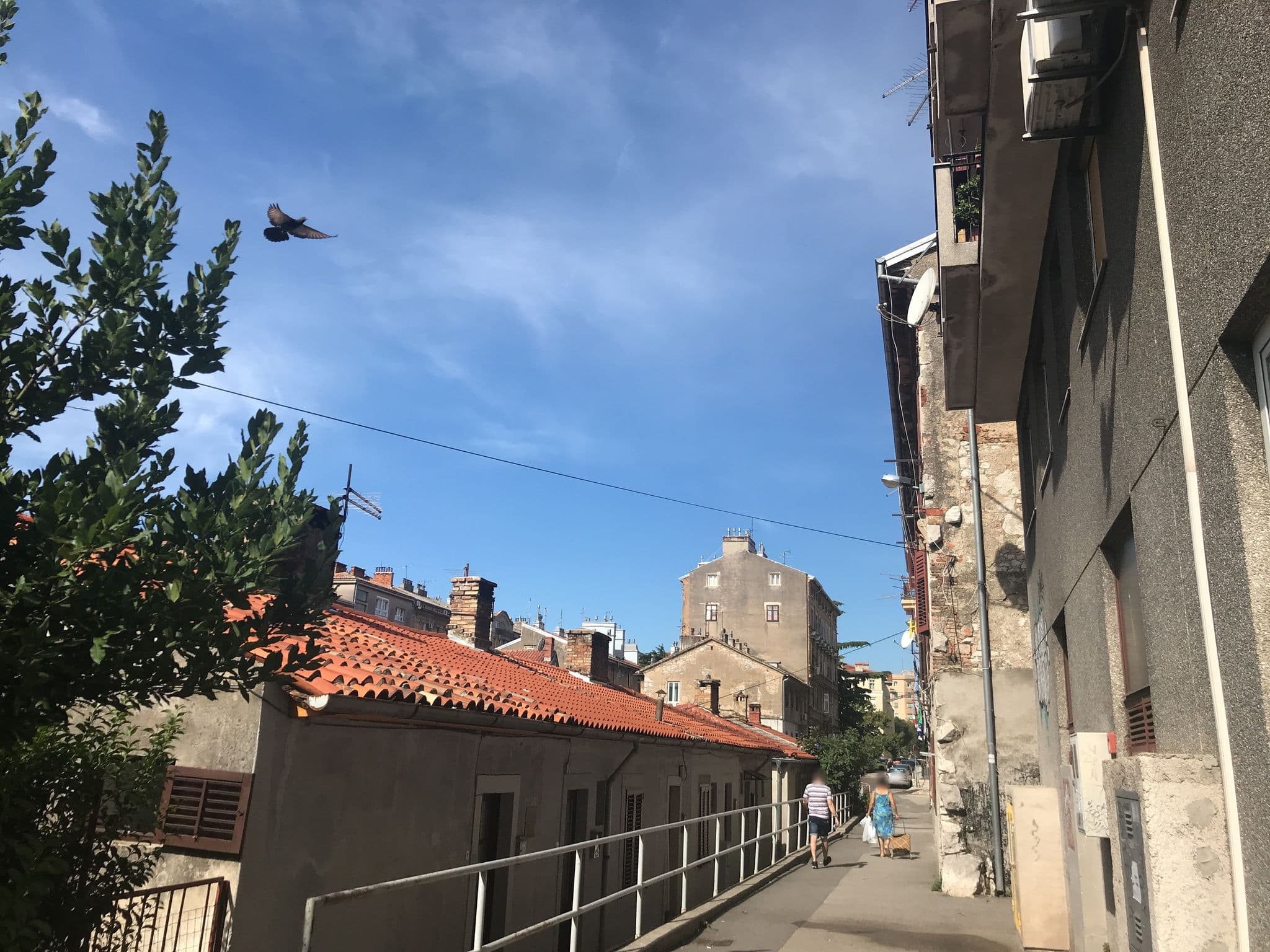 Street view near Studio apartment Pomerio - Rijeka center, Rijeka — © ziwei (CC BY-SA · Mapillary)