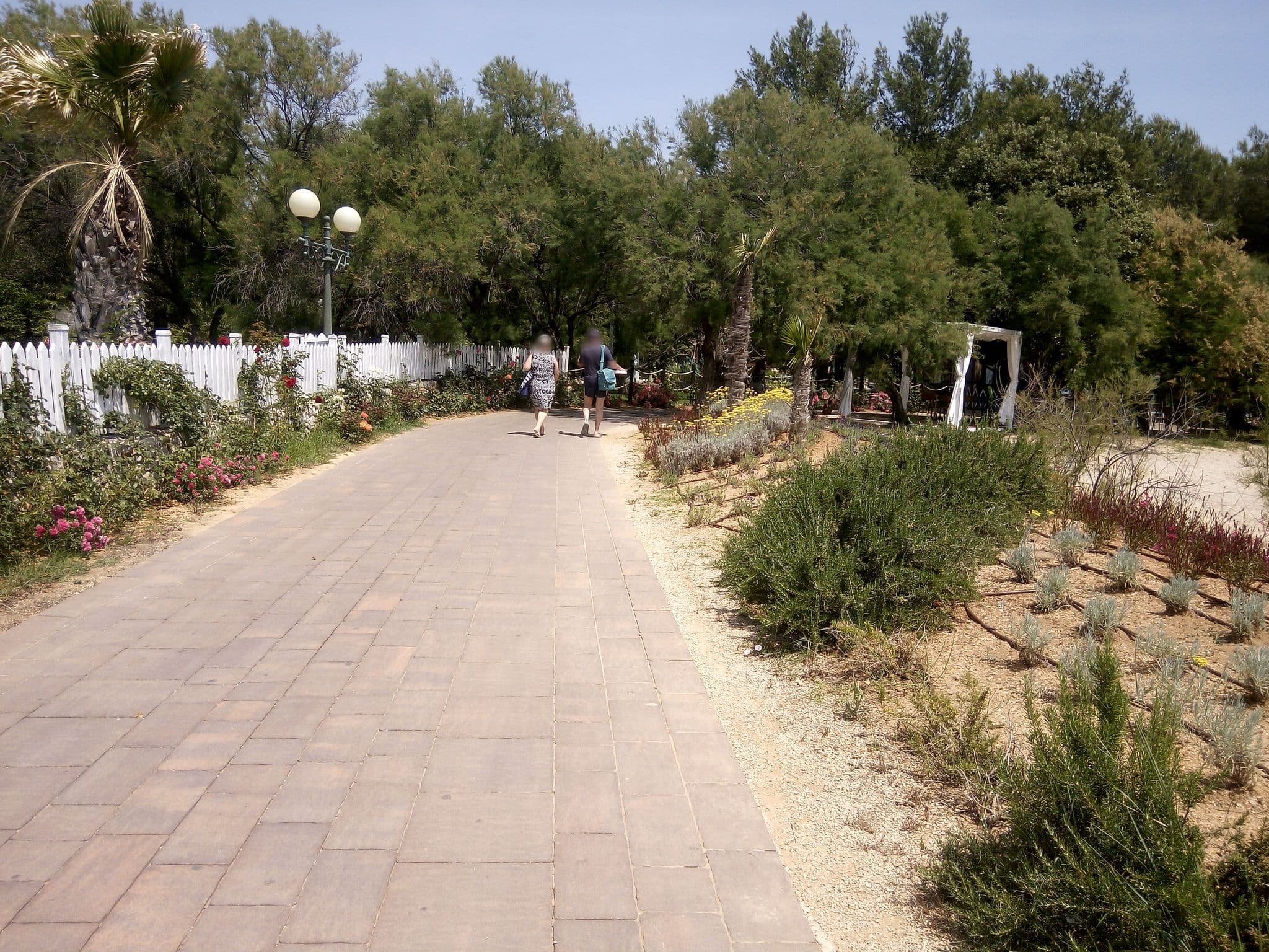 Street view near POUZ Lusa, Brodarica — © serj_nickel (CC BY-SA · Mapillary)