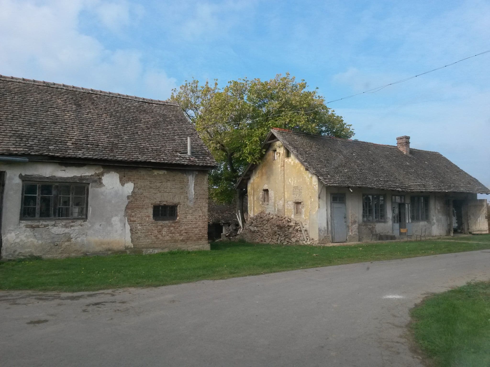 Street view near KONTINENTALNI TURIZAM d.o.o., Ilok — © osmapper (CC BY-SA · Mapillary)