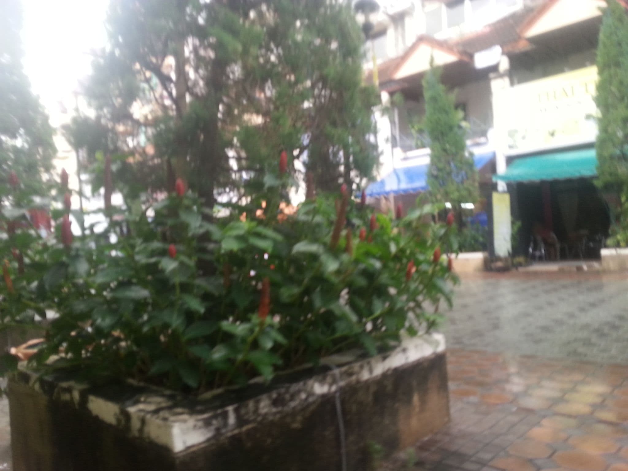 Street view near Aquarius Guest House, Patong — © clockwerx (CC BY-SA · Mapillary)
