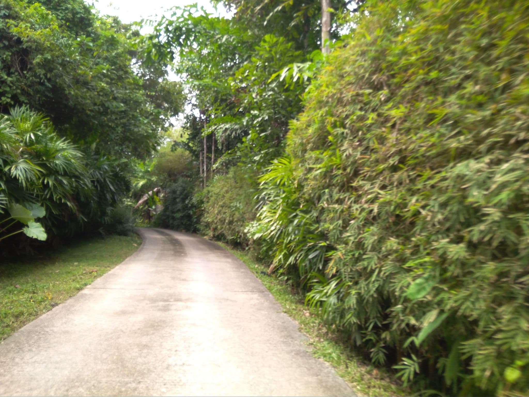 Street view near Villa No.51, Ban Phru Nai — © mapfool (CC BY-SA · Mapillary)