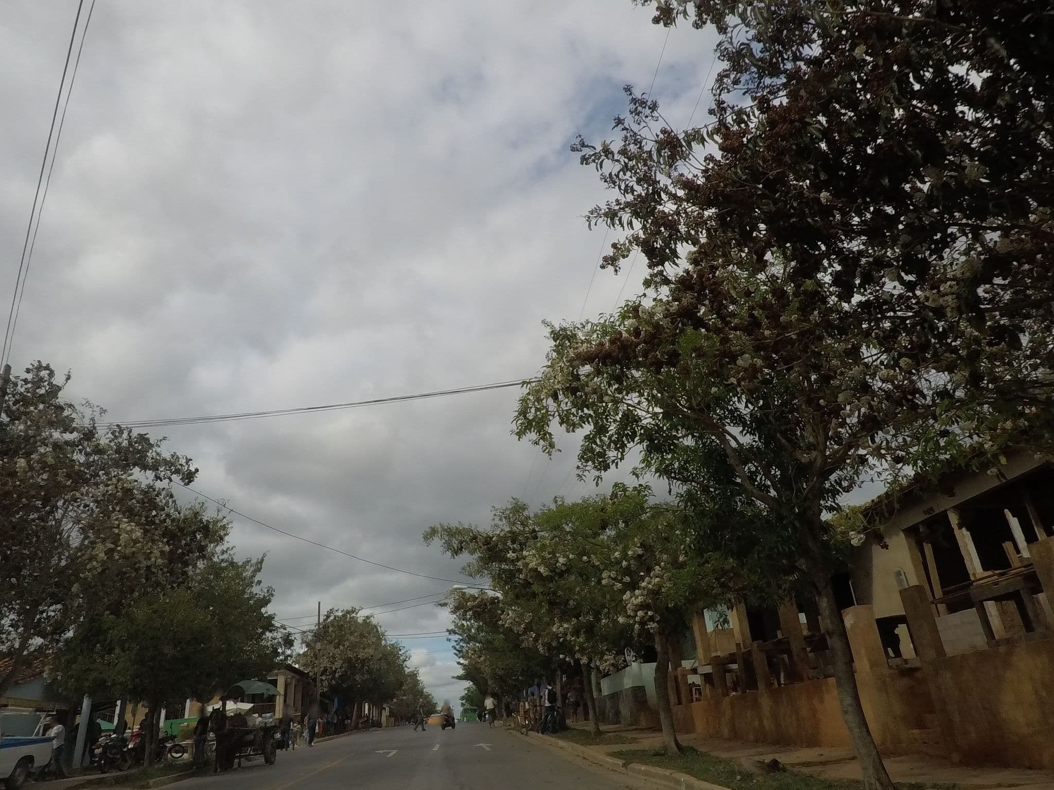 Street view near Villa El Pollo, Viñales