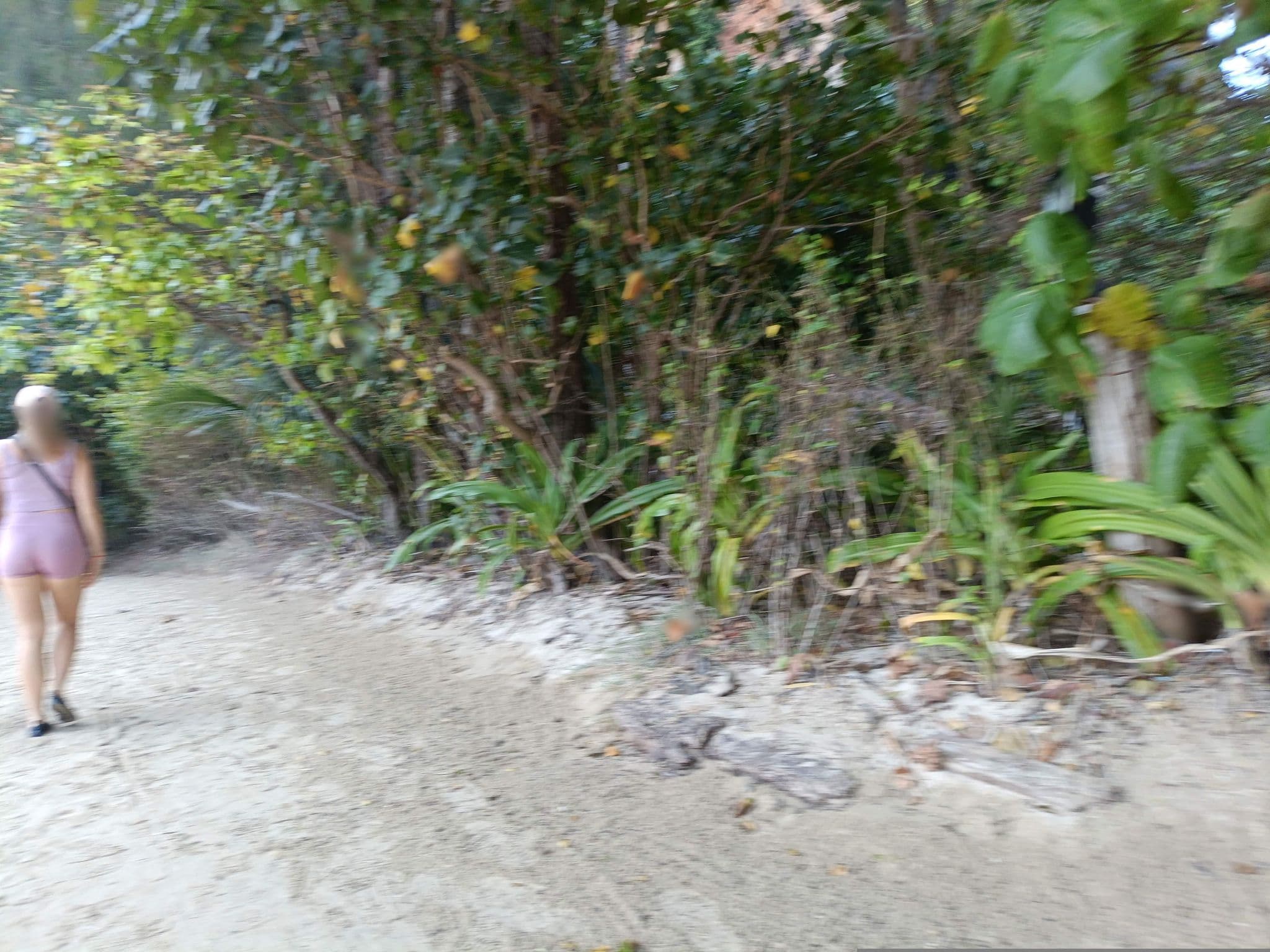 Street view near Guest Service Lounge, Ban Ao Nang — © skillsy (CC BY-SA · Mapillary)