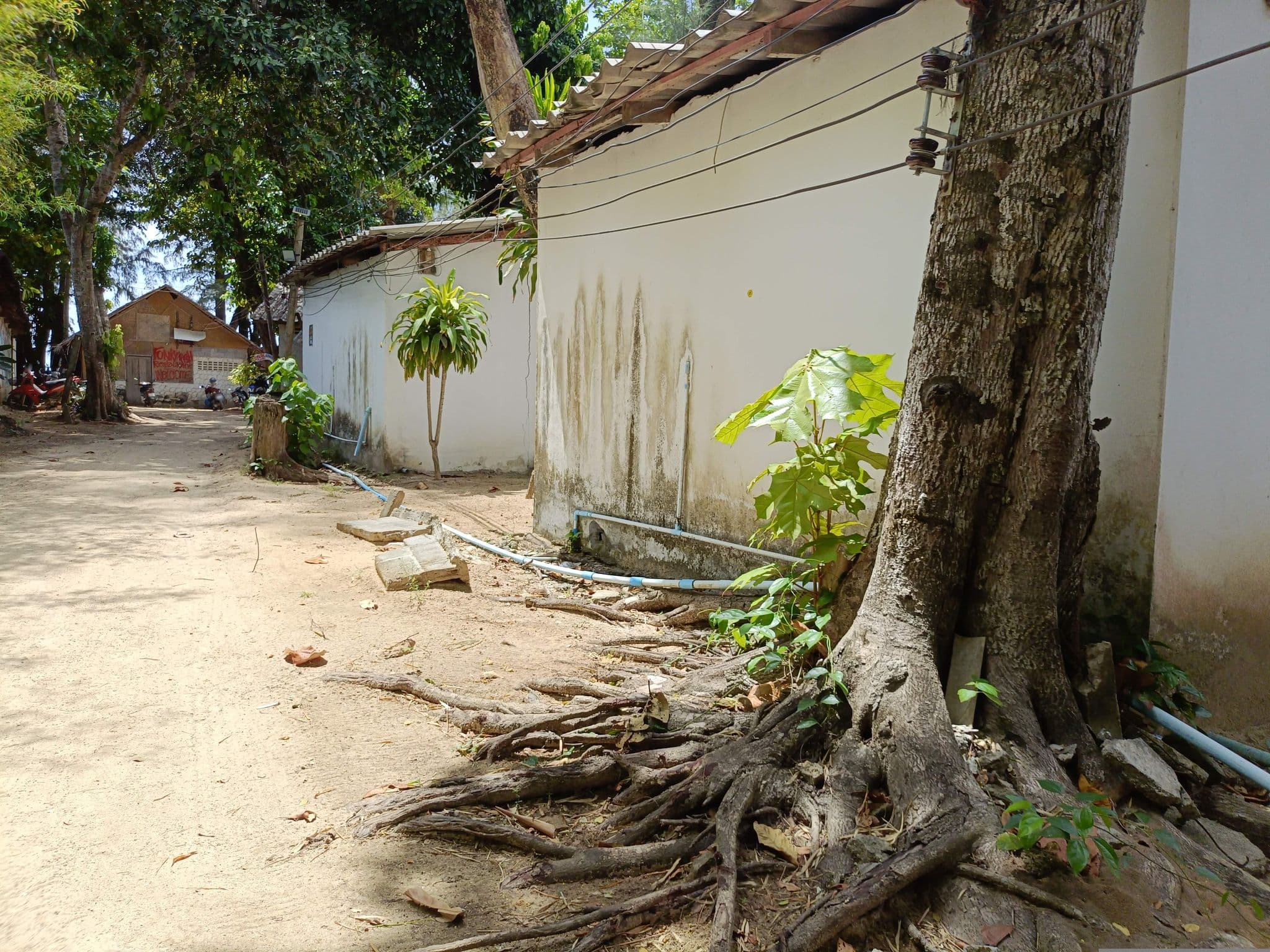 Street view near Ozone Hostel, Saladan — © skillsy (CC BY-SA · Mapillary)