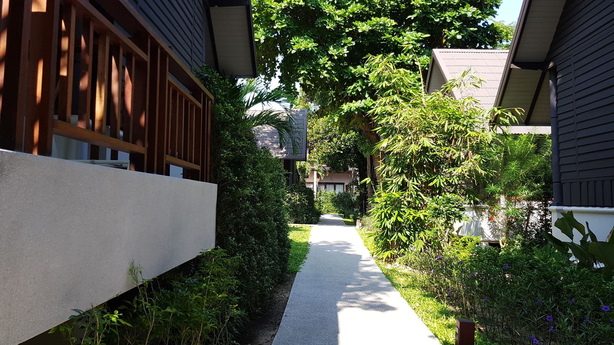 Street view near Peace Resort Samui, Ko Samui — © rororo (CC BY-SA · Mapillary)