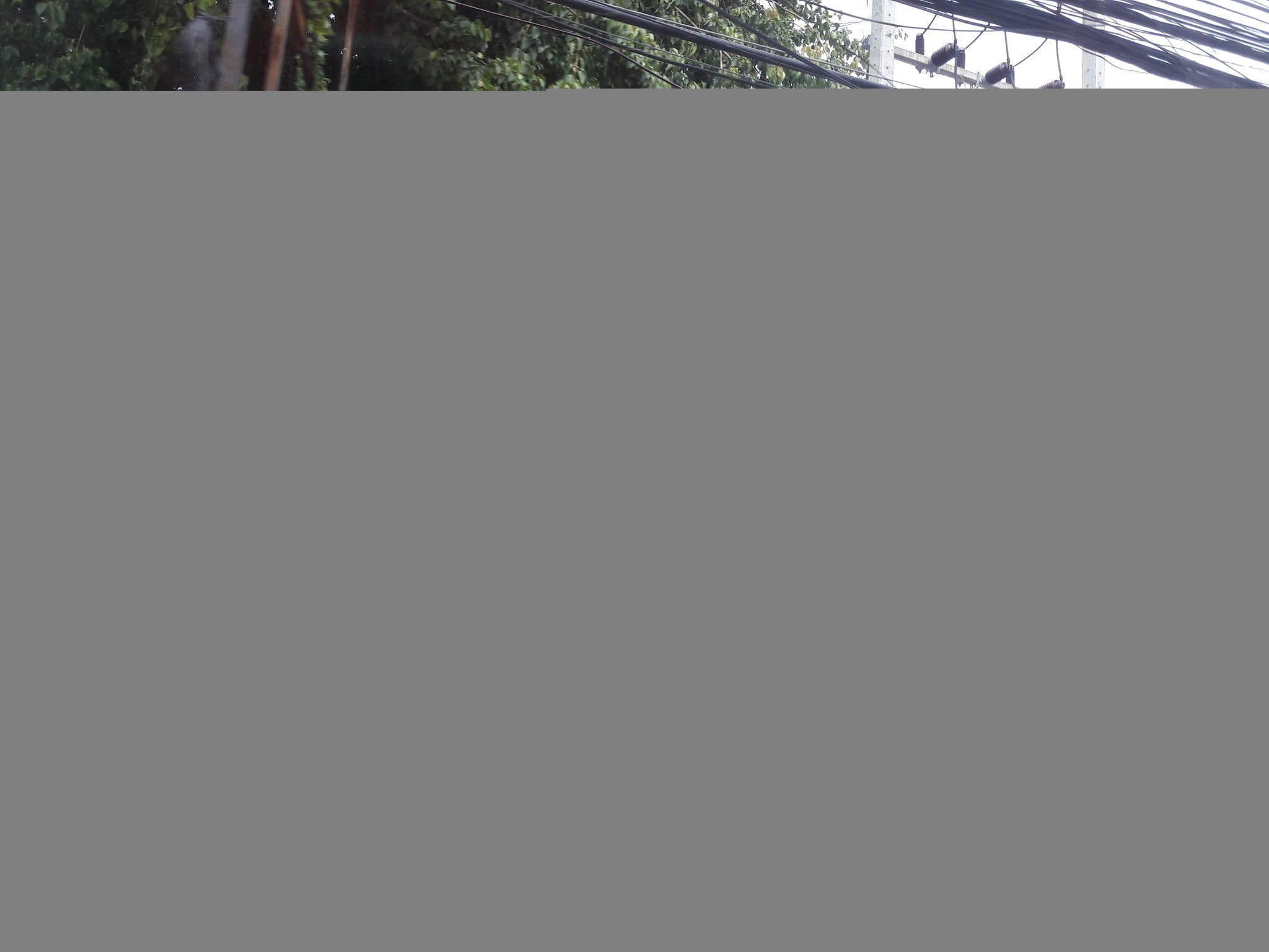 Street view near Saver guesthause, Ko Samui — © jirayoot (CC BY-SA · Mapillary)