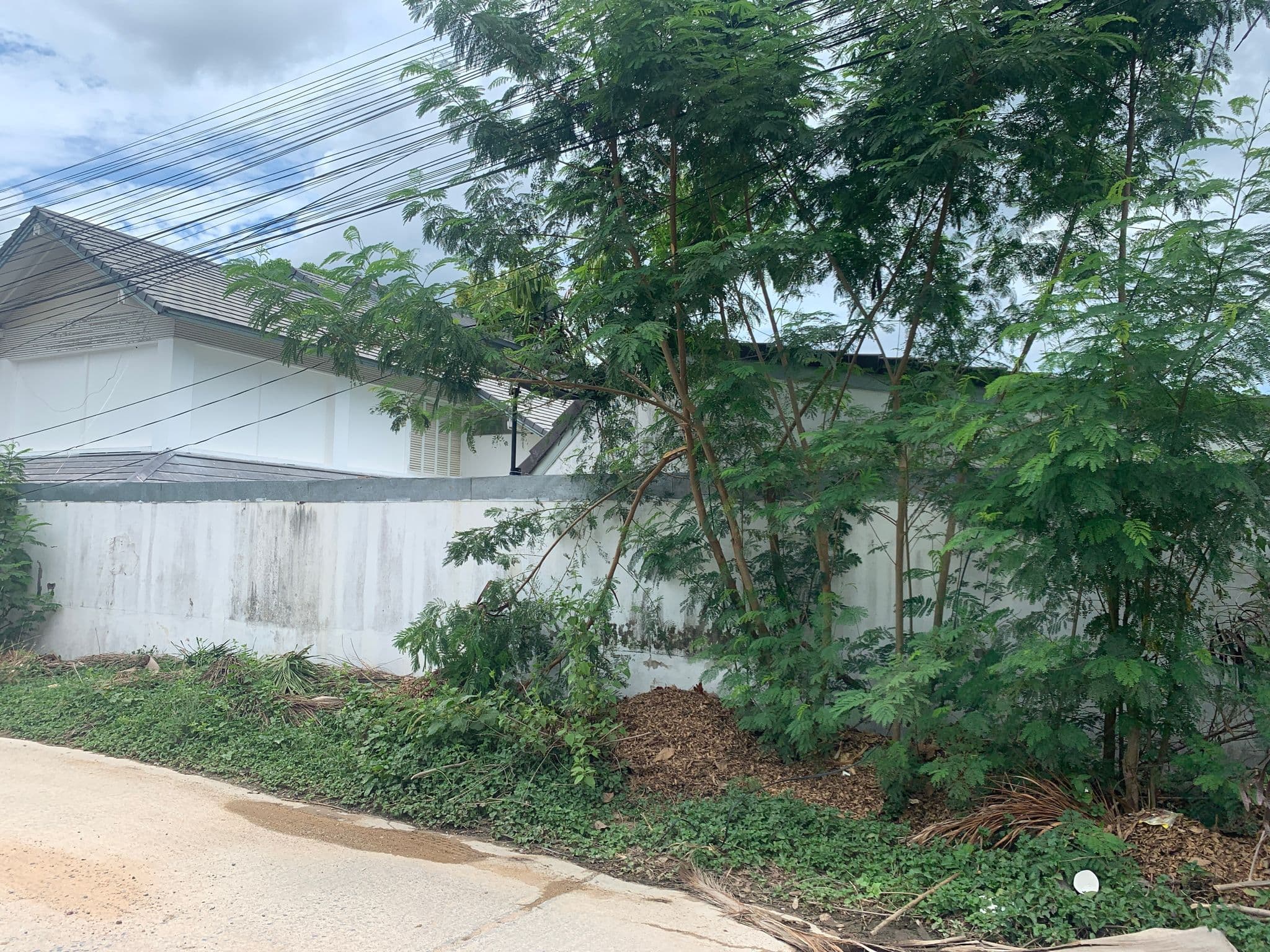 Street view near Samui Family, Ko Samui — © emseesee (CC BY-SA · Mapillary)
