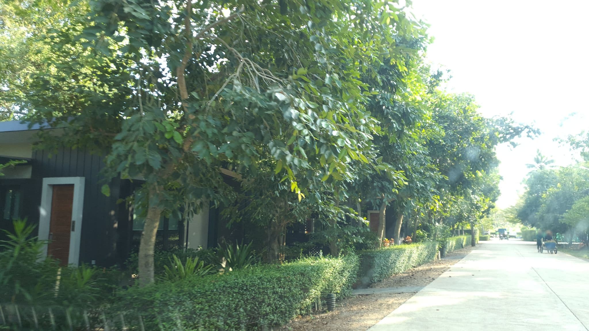 Street view near Pet Lover Garden Pool, Bang Saphan — © jrcarlsen (CC BY-SA · Mapillary)