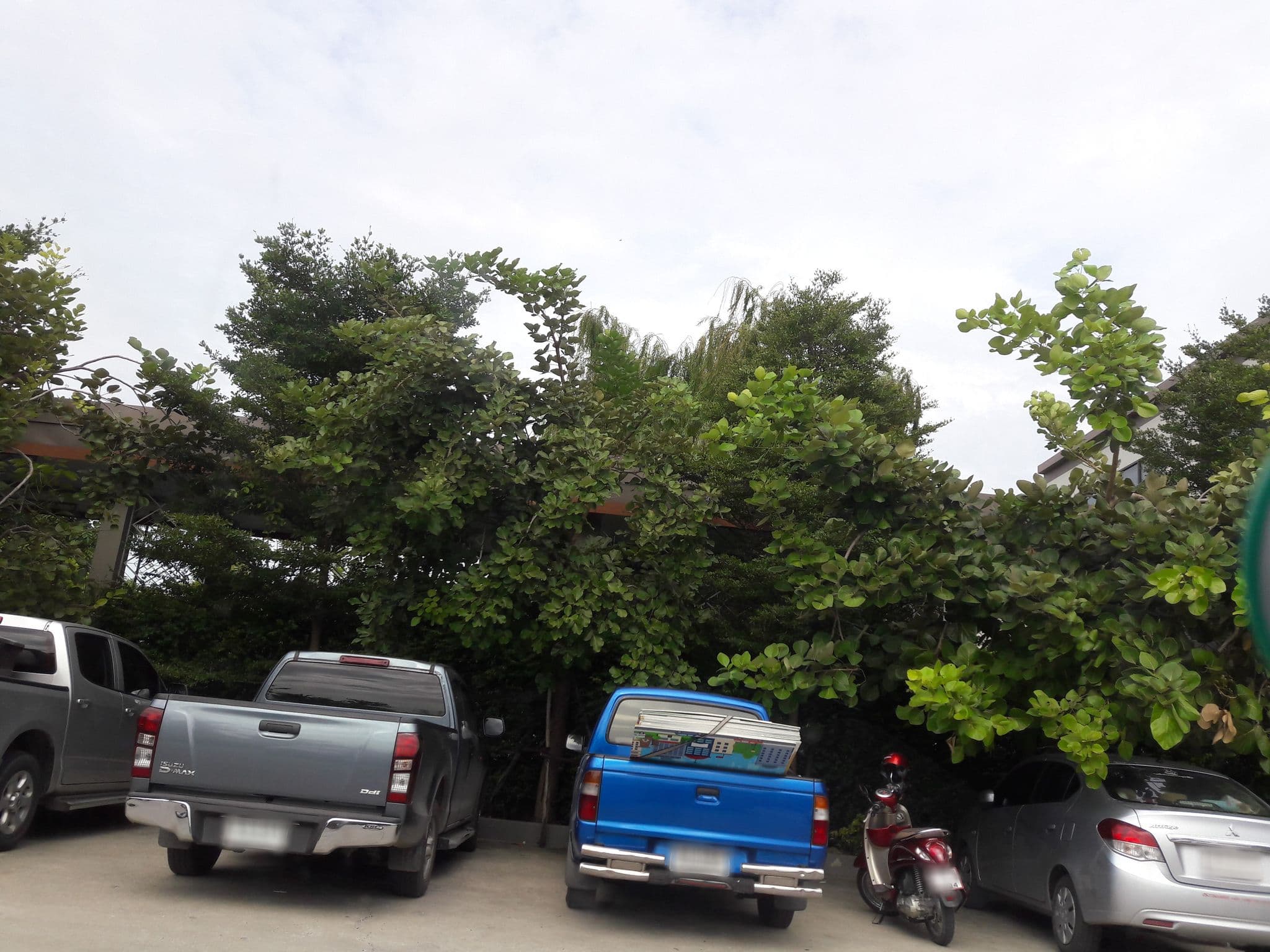 Street view near โรงแรม ณ เวลา (Navela Hotel), Ratchaburi — © collectiontrue (CC BY-SA · Mapillary)