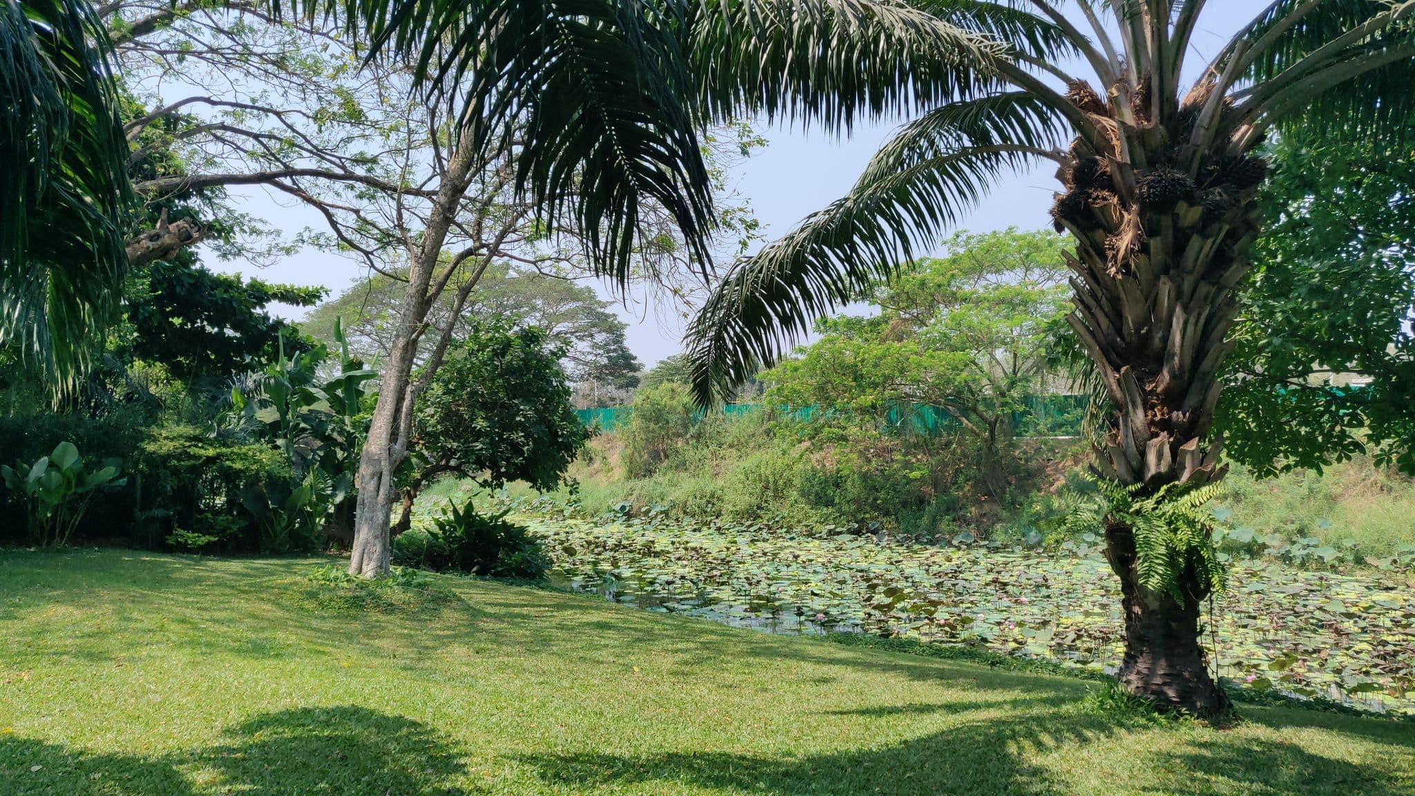 Street view near โรงแรมบ้านท้ายวัง, Phra Nakhon Si Ayutthaya — © leponpon (CC BY-SA · Mapillary)