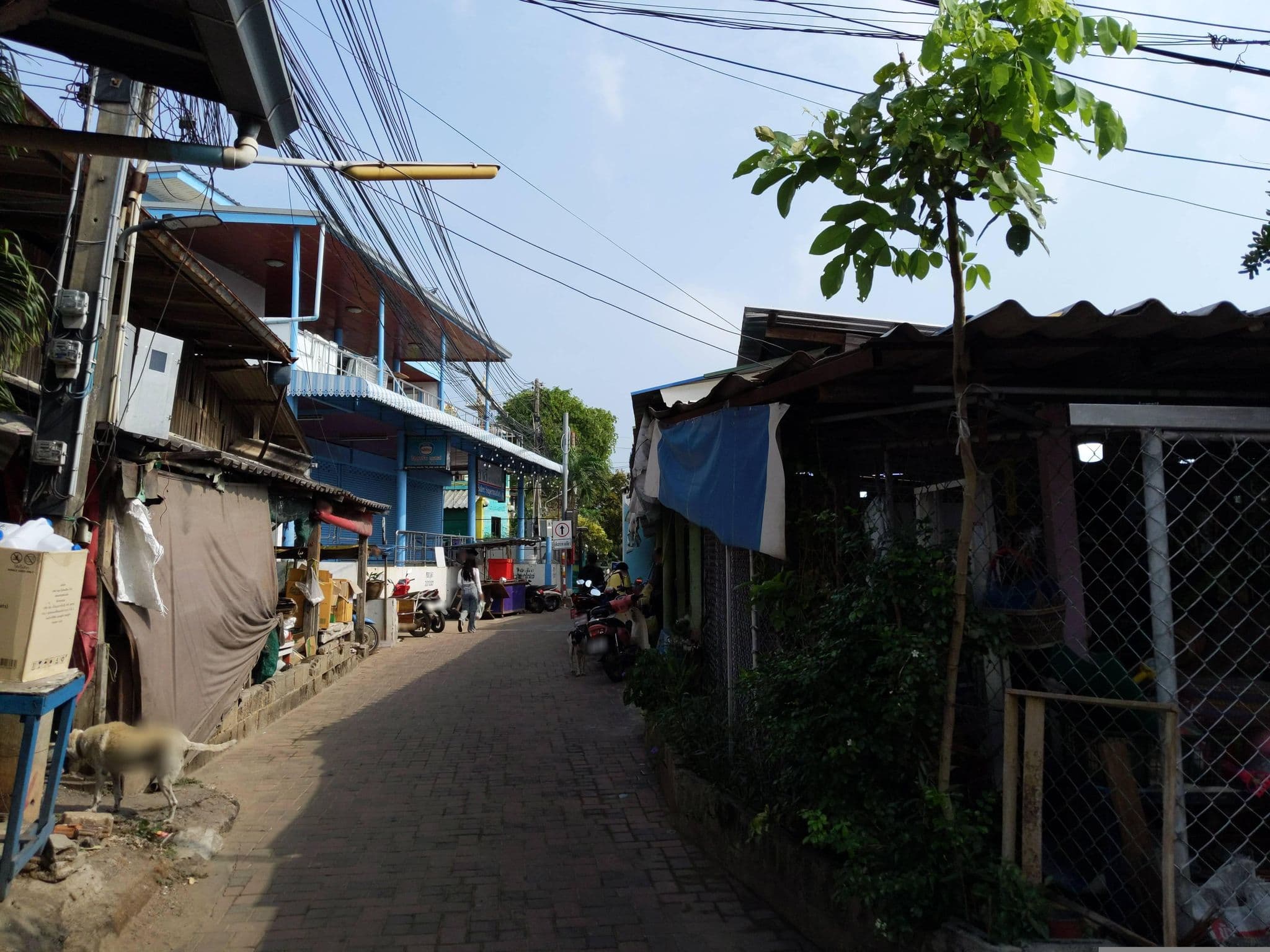 Street view near Chalita Seeview, Ban Ko Lan — © UughoTh0 (CC BY-SA · Mapillary)