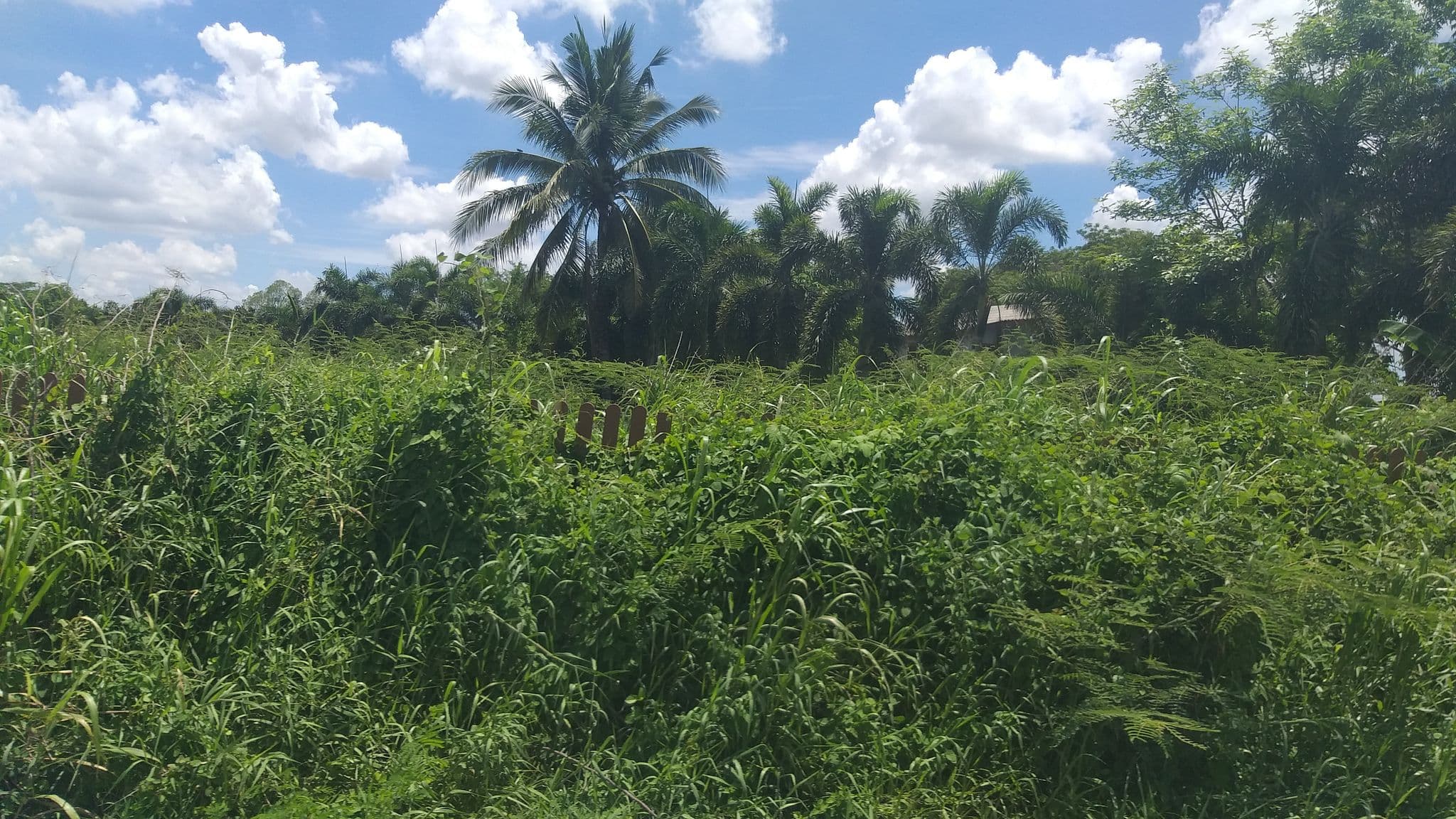 Street view near View's Home, Nakhon Nayok — © ozflor (CC BY-SA · Mapillary)