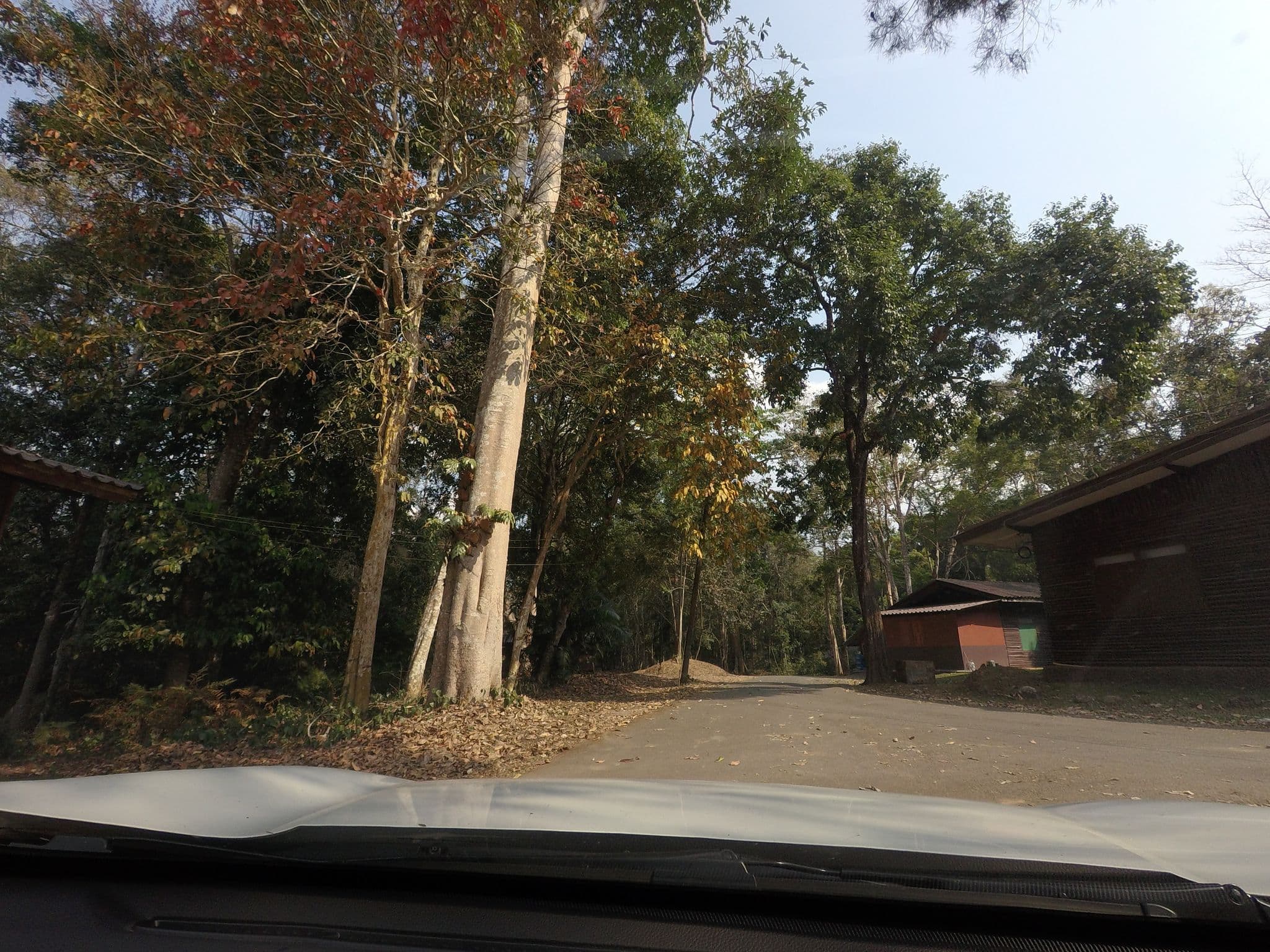 Street view near Muthi Maya, Ban Noen Hom — © mishari (CC BY-SA · Mapillary)