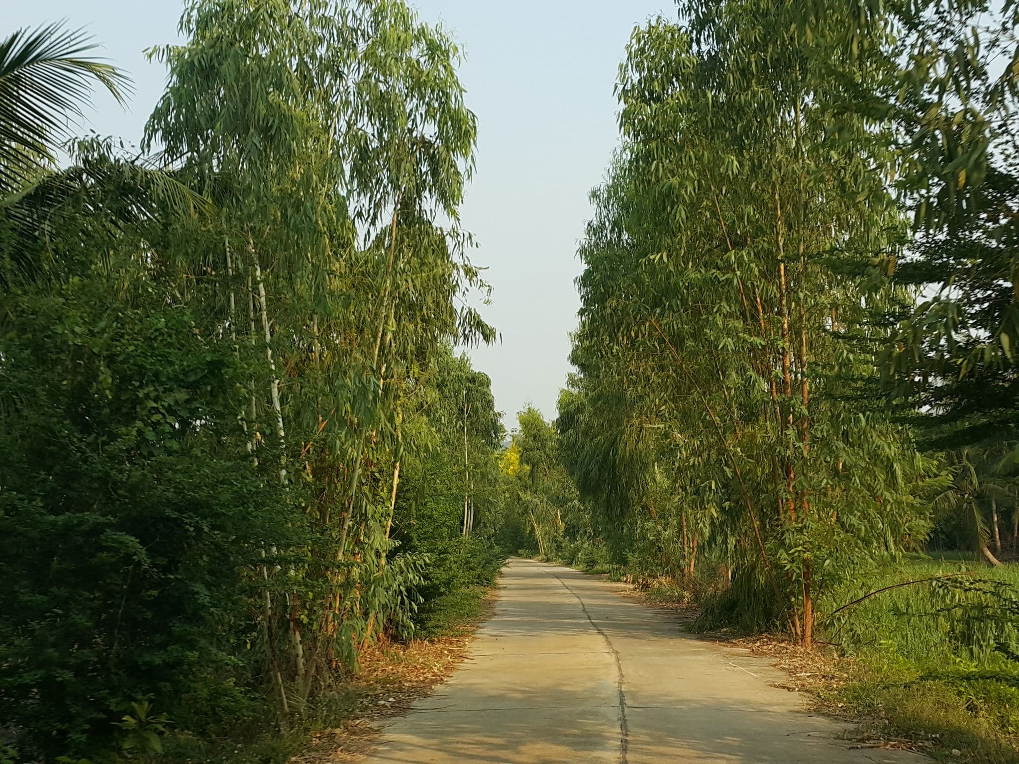 Street view near ณ อิงผา Resort&Camp โทร 0898273553, Huai Khot — © jrcarlsen (CC BY-SA · Mapillary)