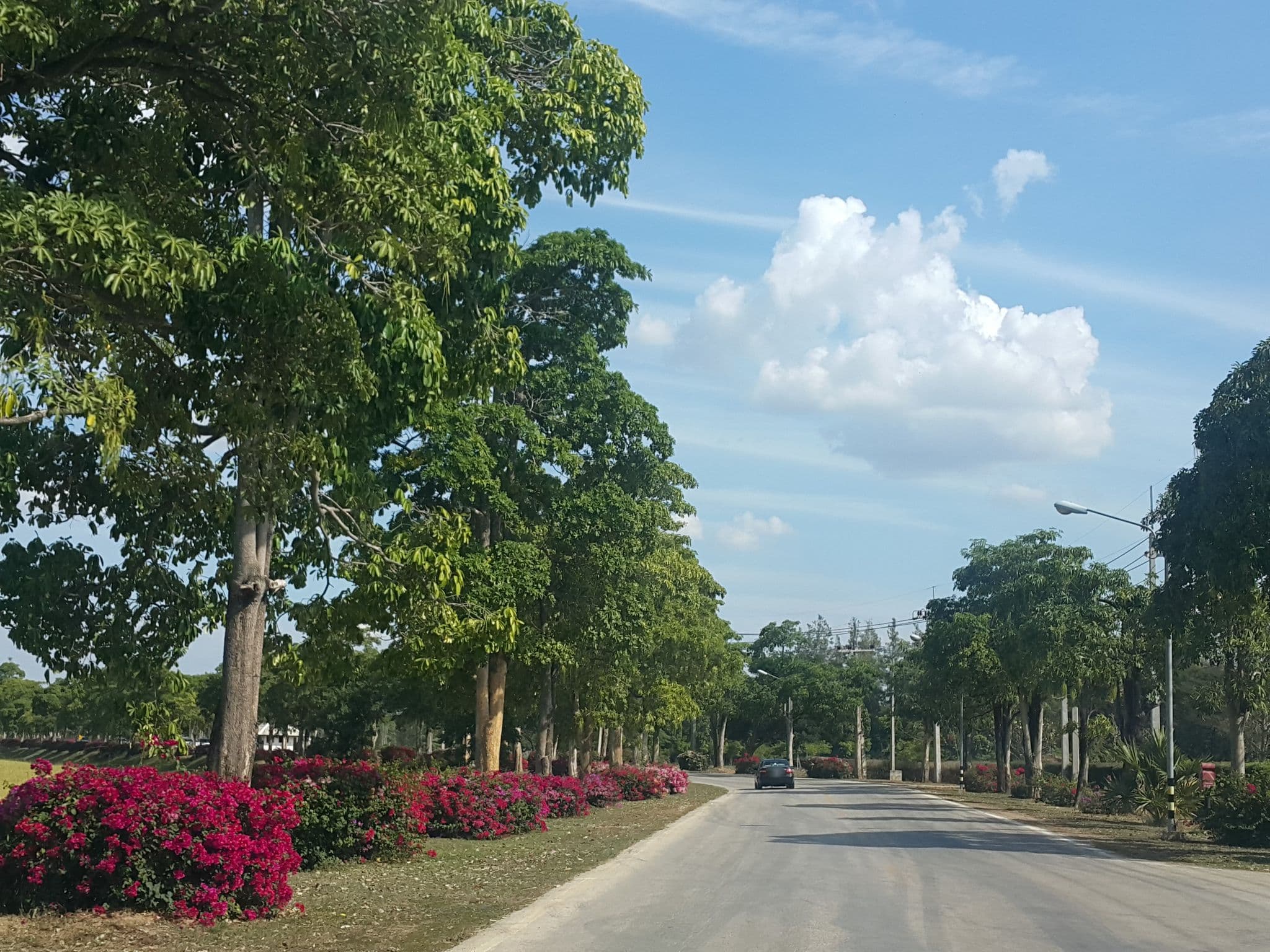 Street view near สุโขทัยเฮอริเทจรีสอร์ท, Sawankhalok — © jrcarlsen (CC BY-SA · Mapillary)