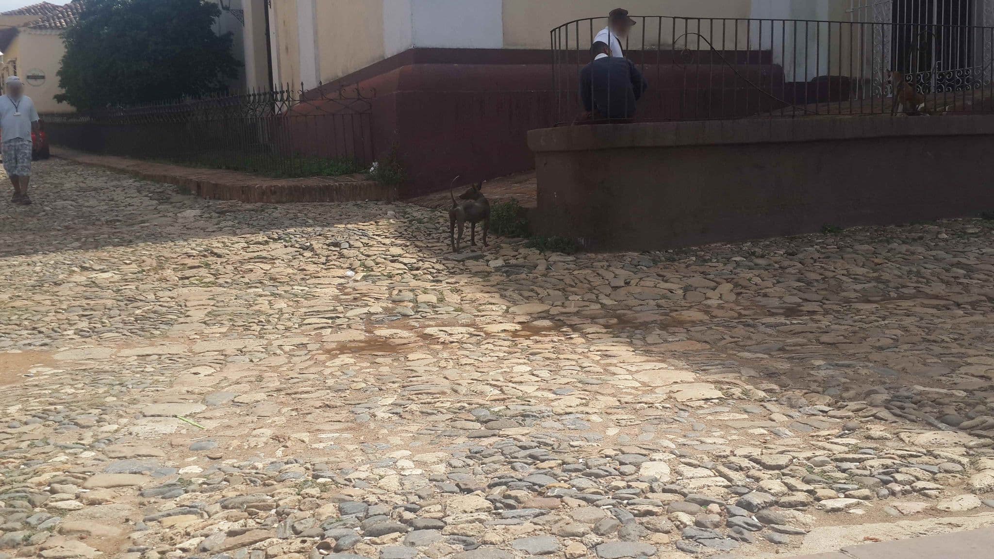 Street view near Casa Las Necas, Trinidad — © redmapper (CC BY-SA · Mapillary)