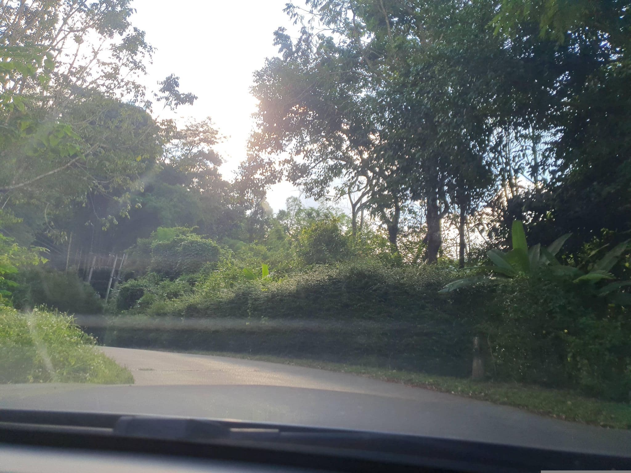 Street view near Fist Tail Room 103, Chiang Mai — © jrcarlsen (CC BY-SA · Mapillary)
