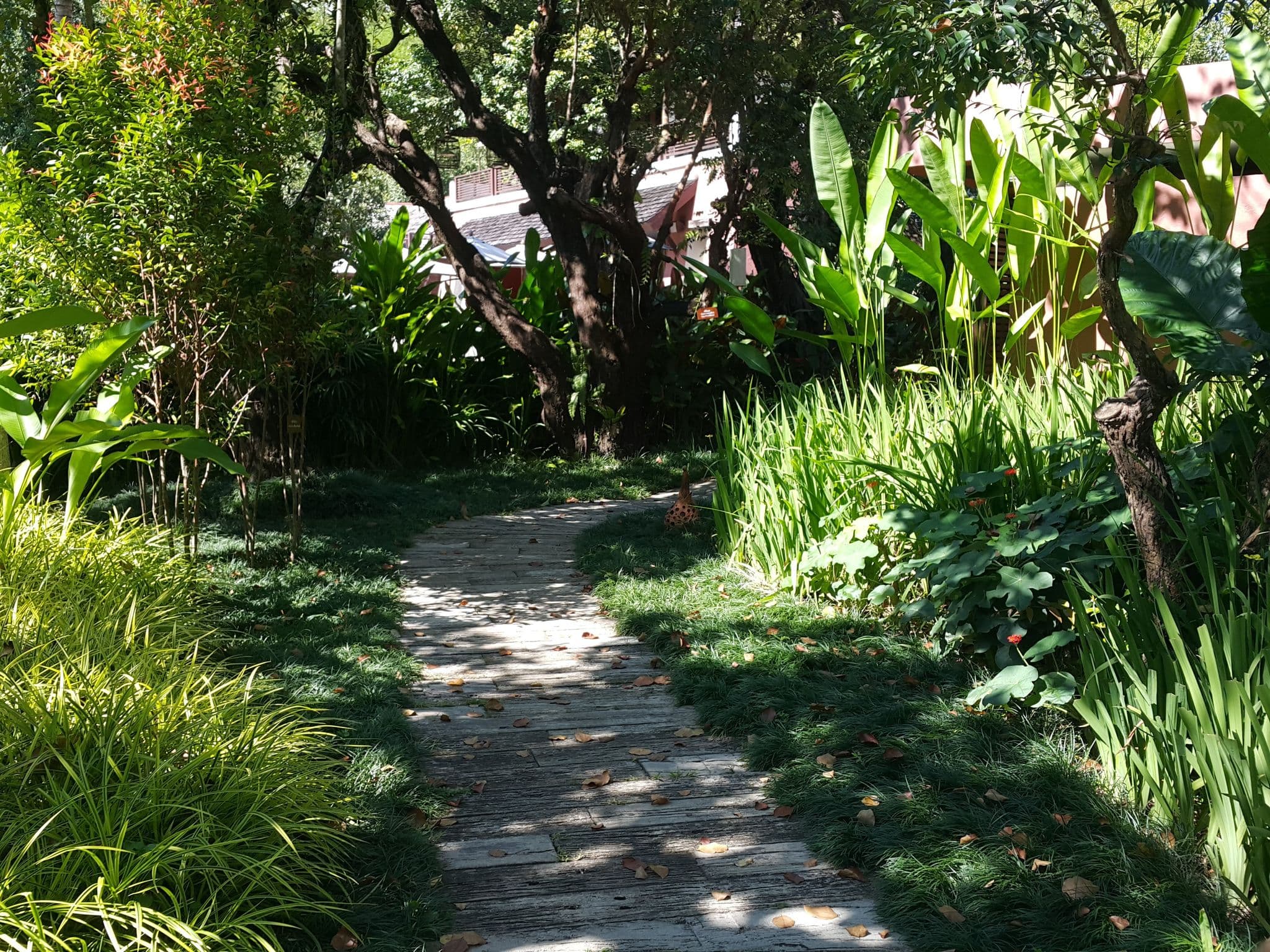 Street view near Rawee Waree Room 1001, Ban Mae Waen — © jrcarlsen (CC BY-SA · Mapillary)