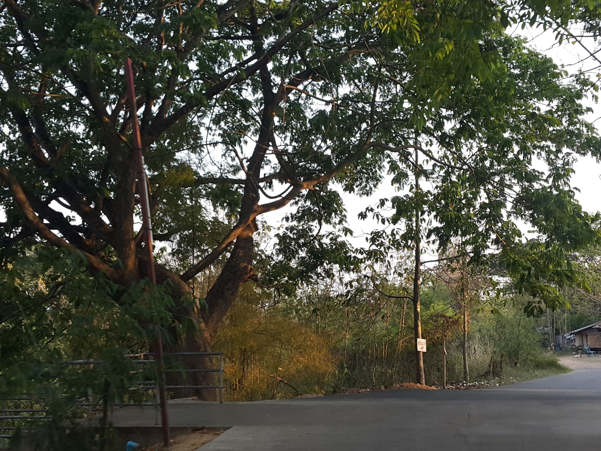 Street view near กุฏิหลวงพี่ป้อม, Chiang Mai — © jrcarlsen (CC BY-SA · Mapillary)