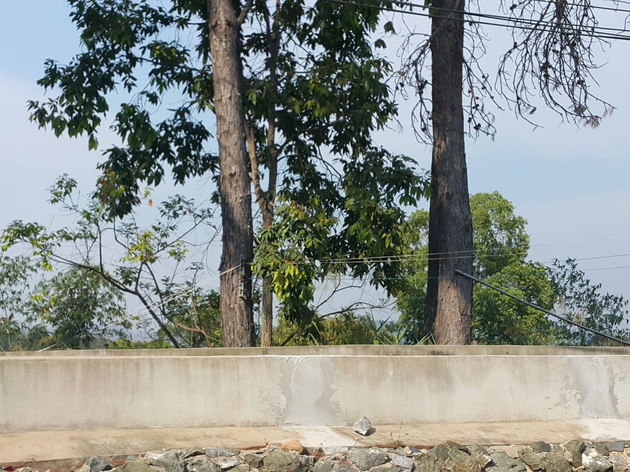 Street view near ภูหมอกดาว, Chiang Mai — © jrcarlsen (CC BY-SA · Mapillary)