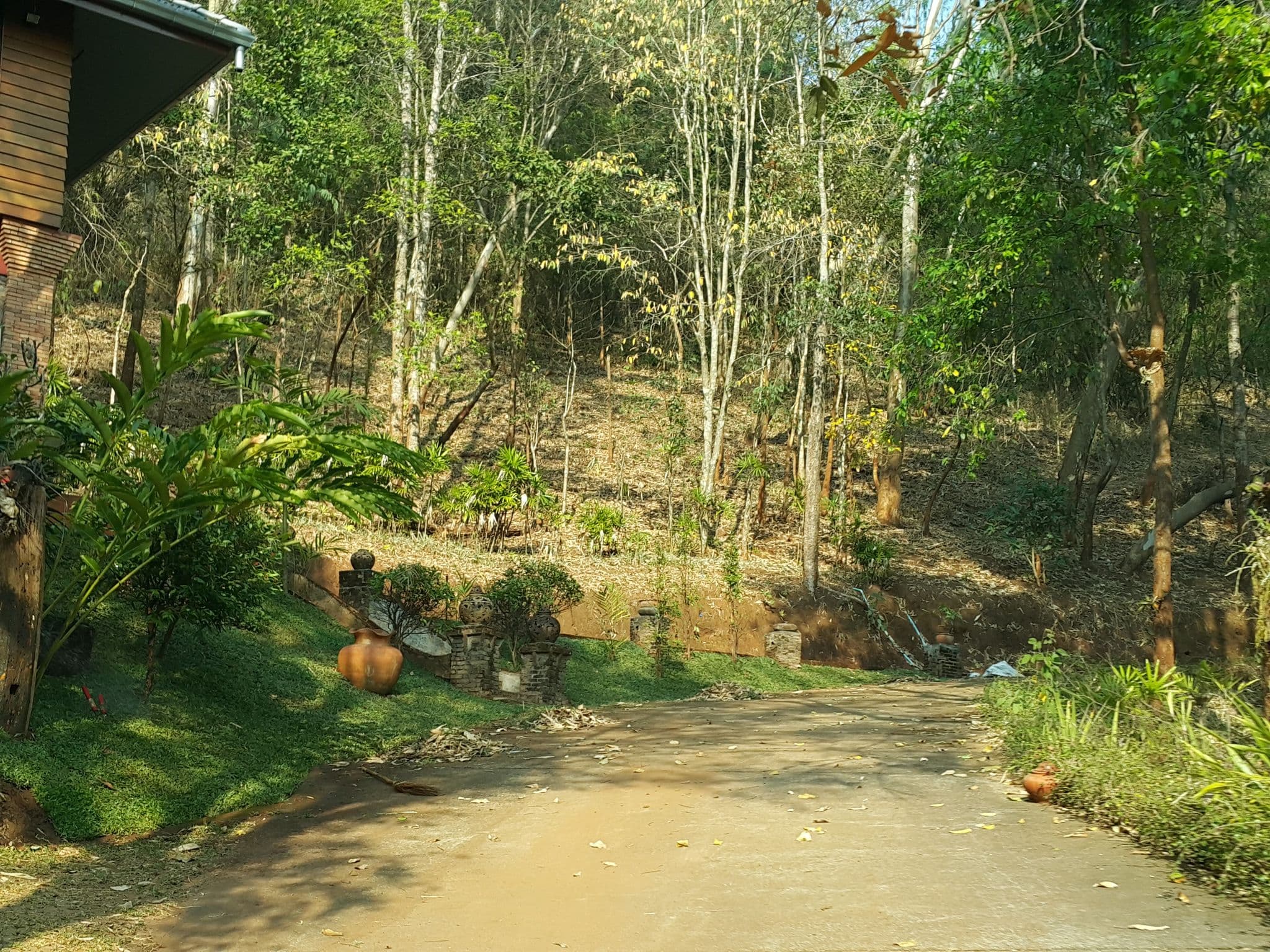 Street view near Baan Med Bua, Chiang Mai — © jrcarlsen (CC BY-SA · Mapillary)