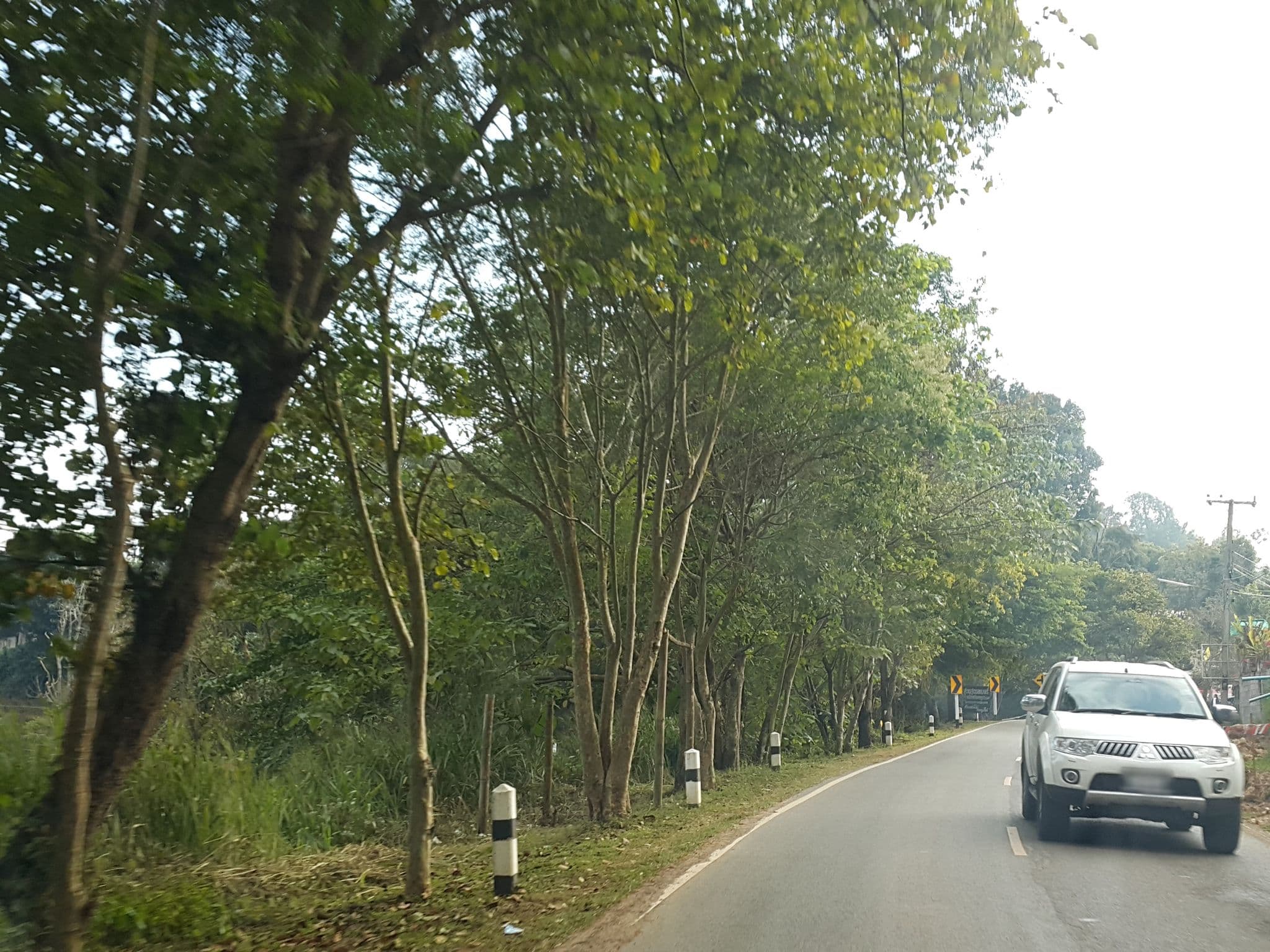 Street view near Onsen @ Moncham, Chiang Mai — © jrcarlsen (CC BY-SA · Mapillary)