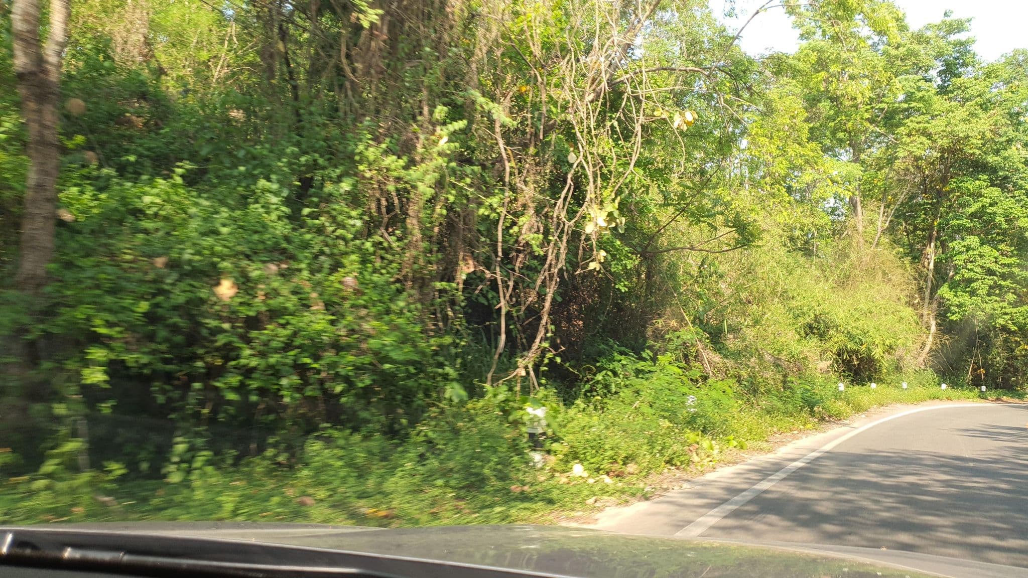 Street view near Phu Jaya Resort (ภูจายา รีสอร์ท), Hang Dong — © jrcarlsen (CC BY-SA · Mapillary)