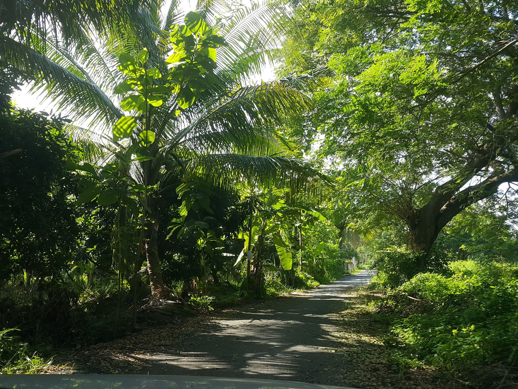 Street view near Buasree Boutique Resort, San Kamphaeng — © jrcarlsen (CC BY-SA · Mapillary)
