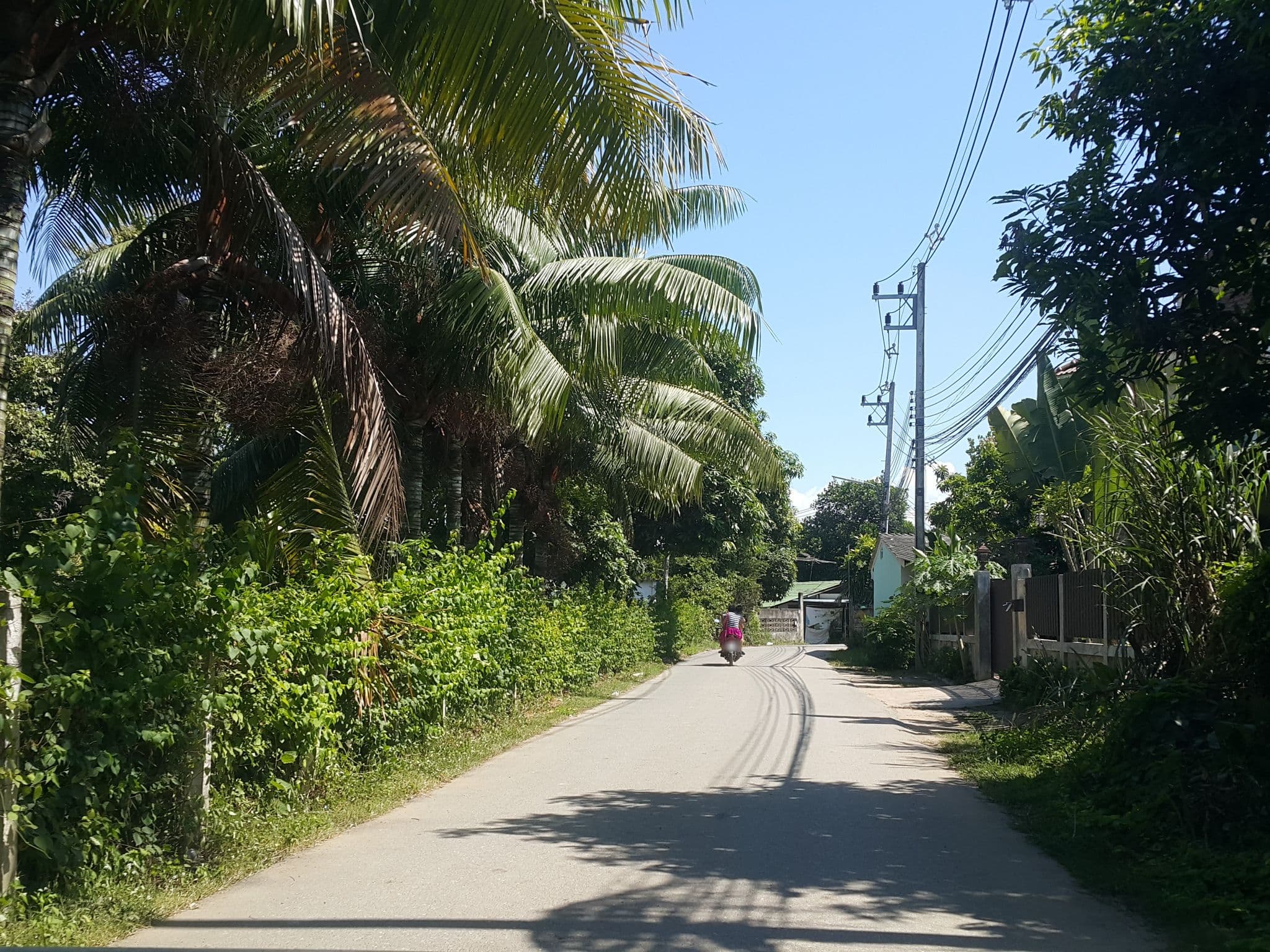 Street view near รดาทีรี รีสอร์ท, Chiang Mai — © jrcarlsen (CC BY-SA · Mapillary)