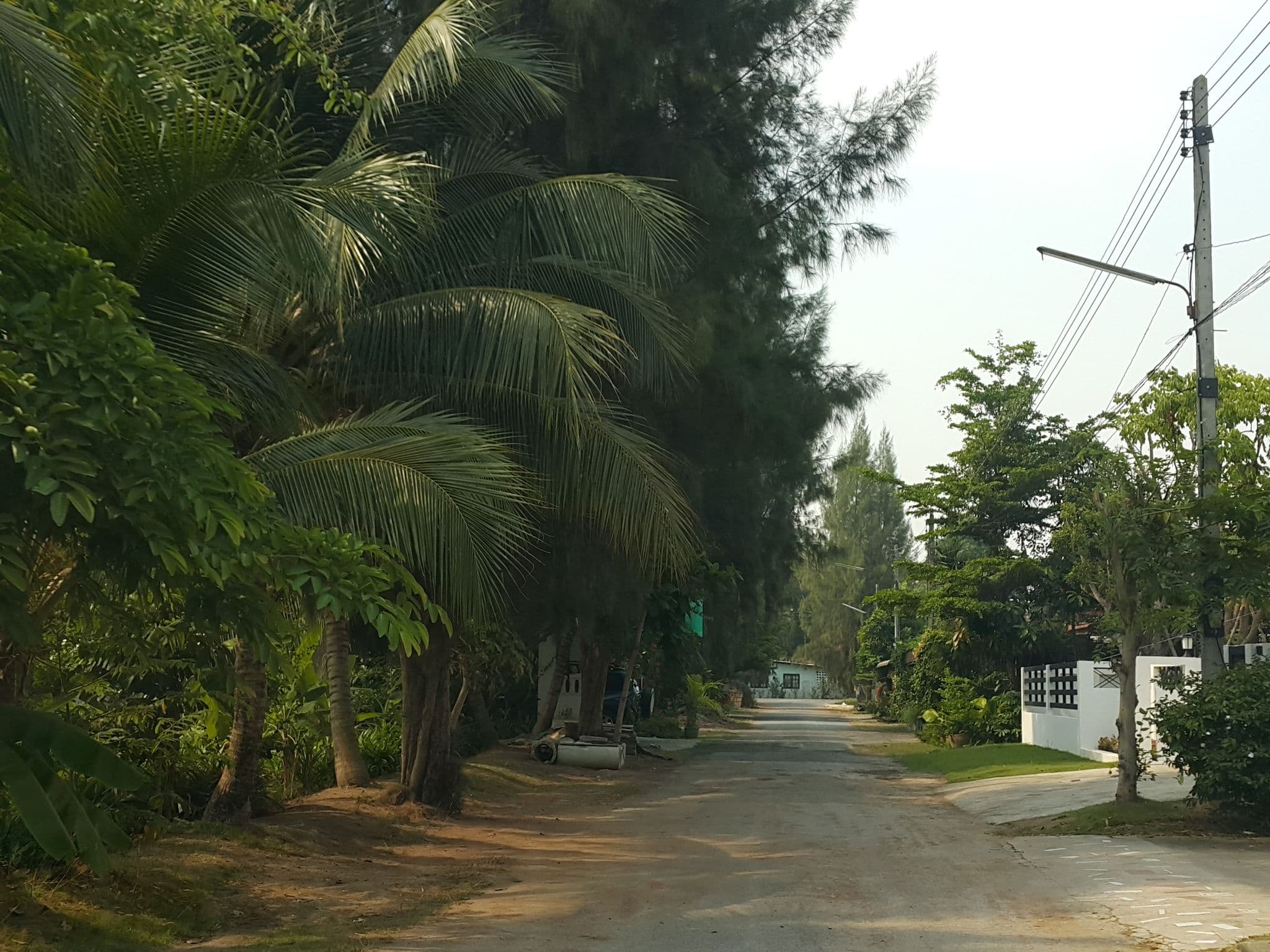 Street view near baan suksomboon by peijing, San Kamphaeng — © jrcarlsen (CC BY-SA · Mapillary)