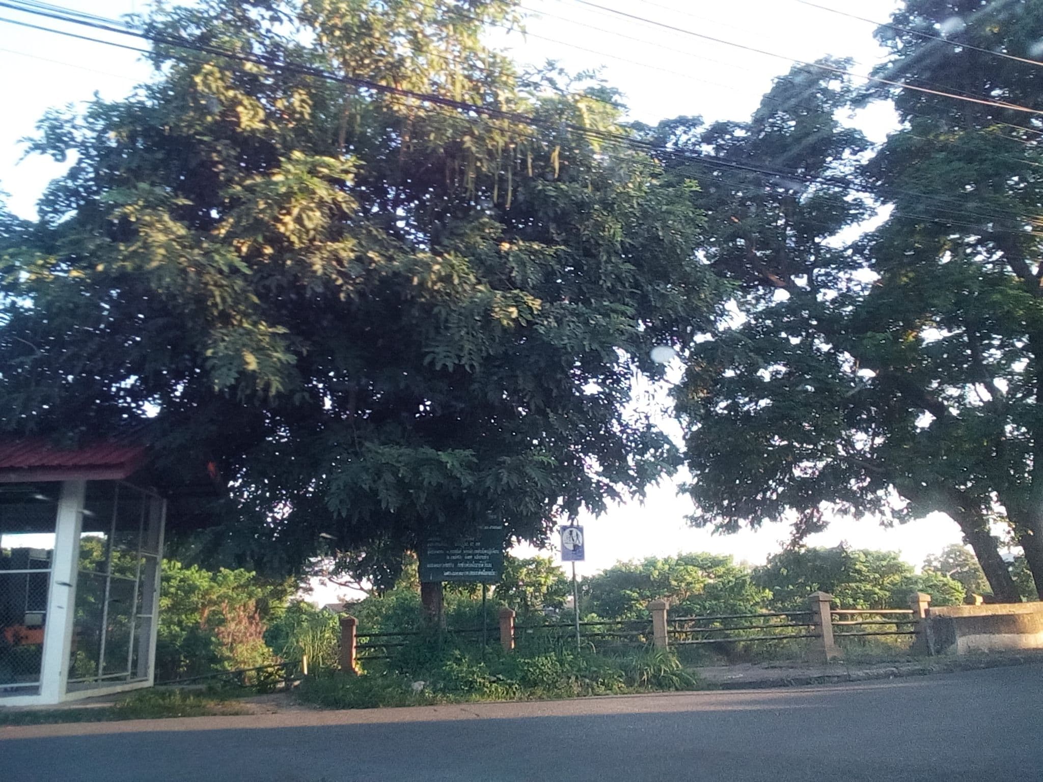 Street view near 7+1 แท่นทอง 2, Lamphun — © kyoko (CC BY-SA · Mapillary)