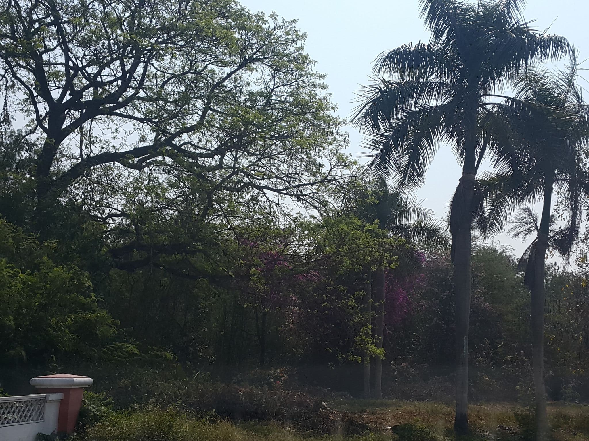 Street view near สระว่ายน้ำปาร์ควิว, San Kamphaeng — © jrcarlsen (CC BY-SA · Mapillary)