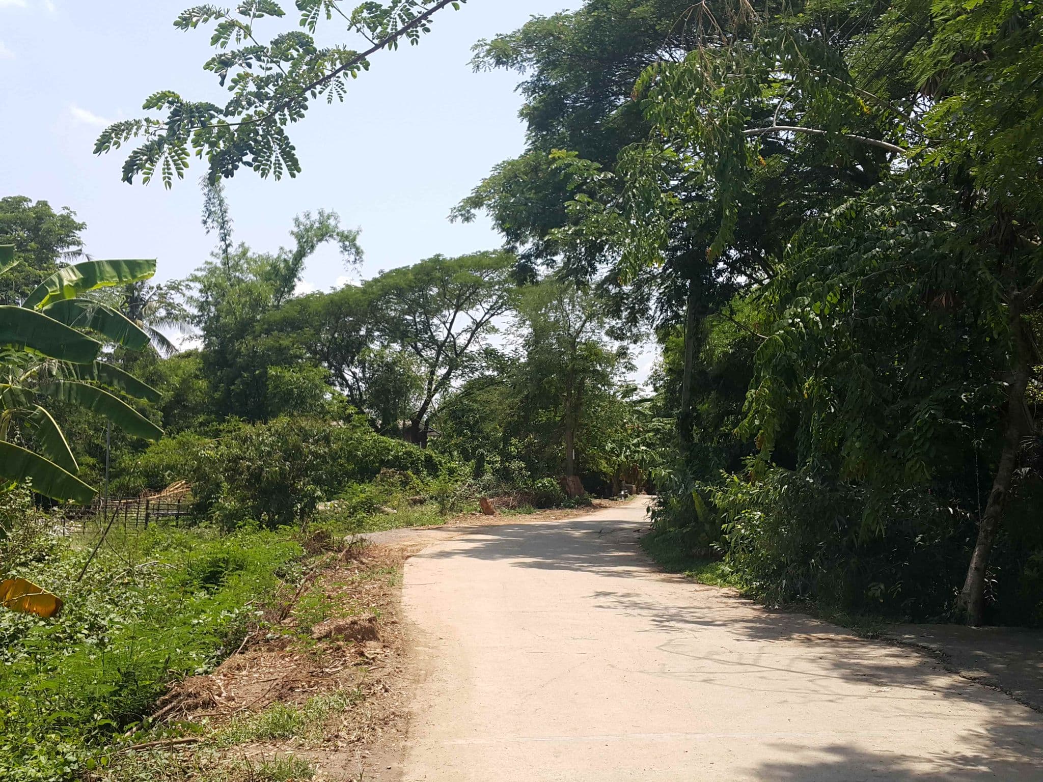 Street view near Enchanted Garden Bungalows, Chiang Mai — © jrcarlsen (CC BY-SA · Mapillary)