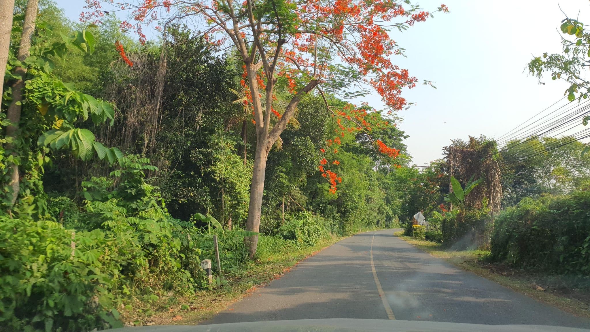 Street view near วังธารรีสอร์ท, San Kamphaeng — © jrcarlsen (CC BY-SA · Mapillary)