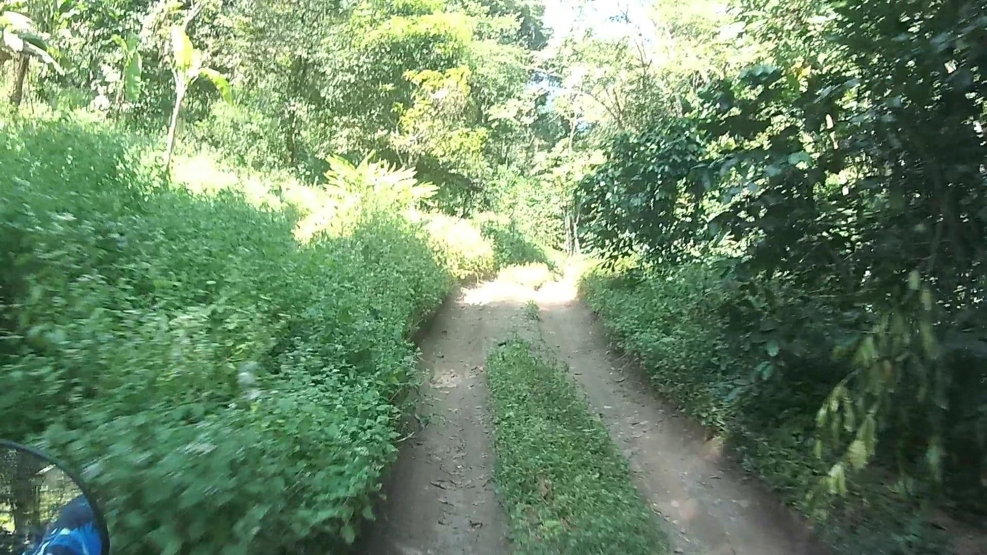 Street view near ไร่ชาป่าเมี่ยง, Ban Mae Waen — © julcnx (CC BY-SA · Mapillary)