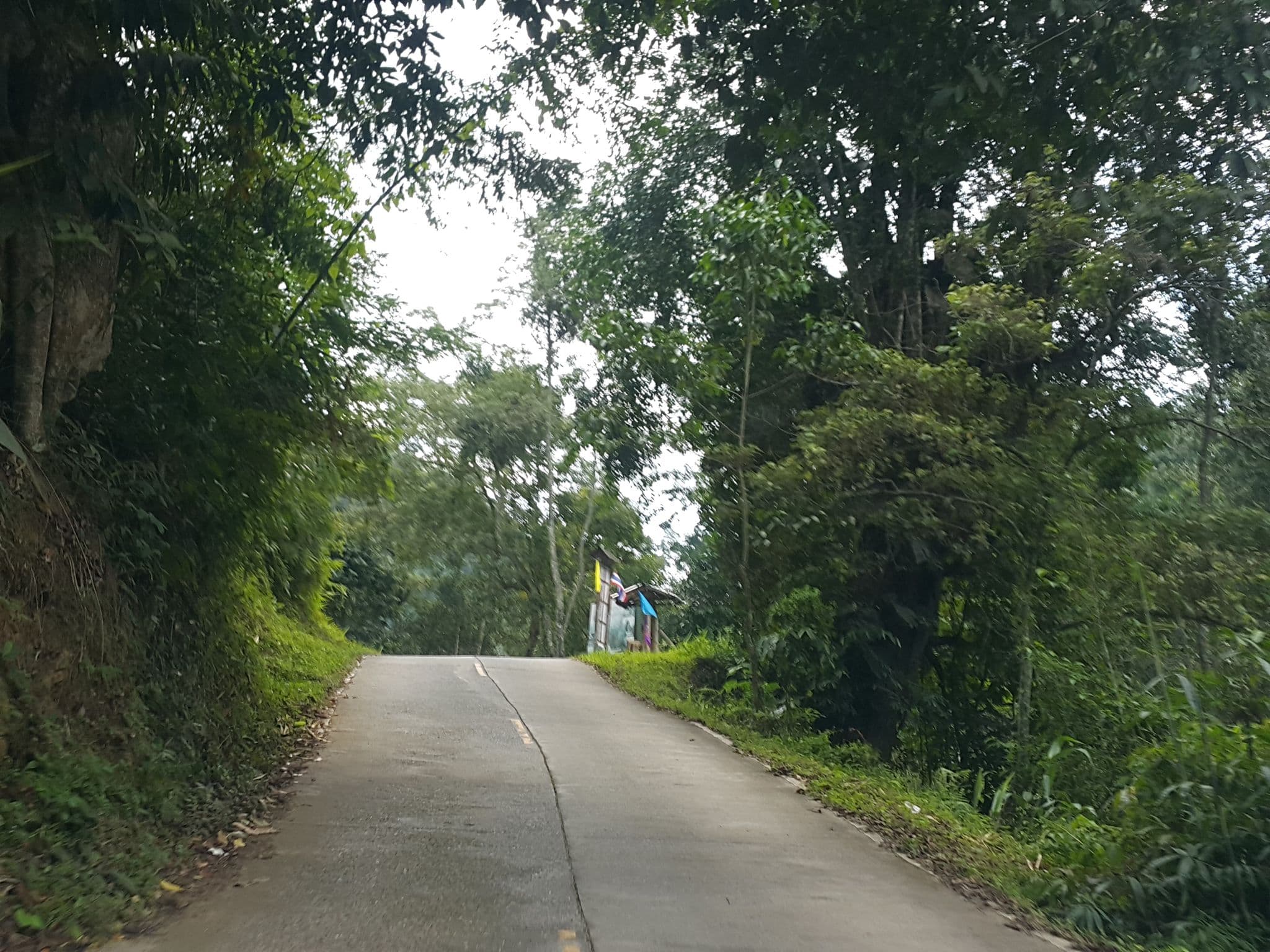 Street view near Bee Forest, San Kamphaeng — © jrcarlsen (CC BY-SA · Mapillary)
