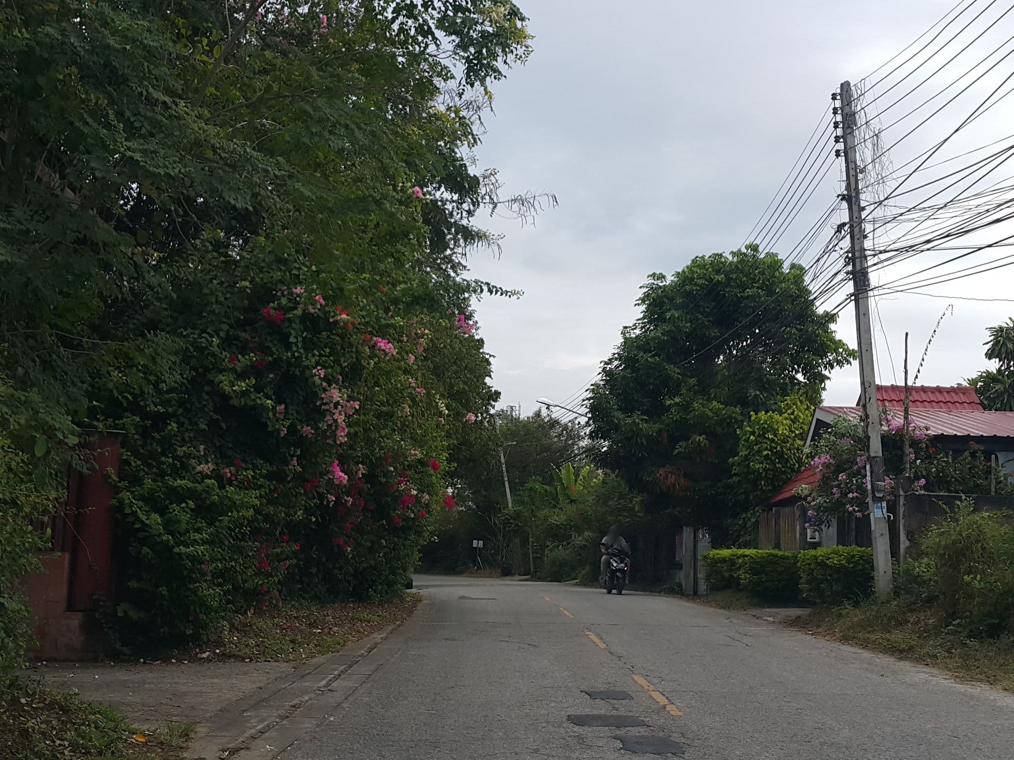 Street view near เอื้องคำ รีสอร์ท, Lampang — © jrcarlsen (CC BY-SA · Mapillary)